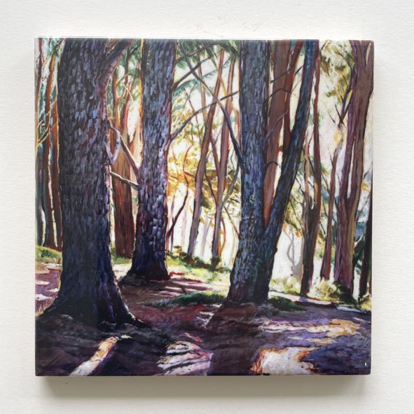 Light through the tree, Mount Vic Coaster.jpg