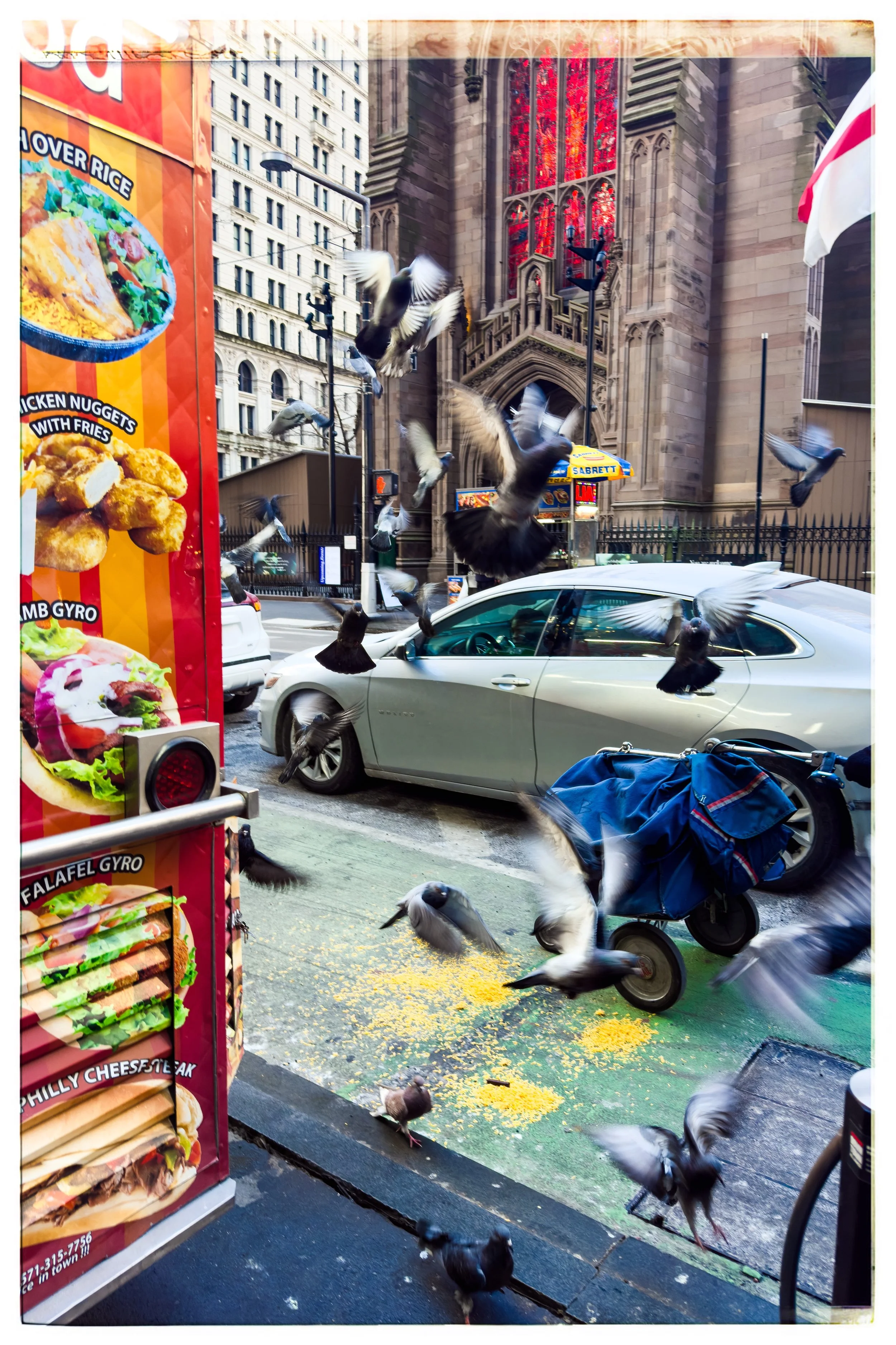 "Over Rice" archival print