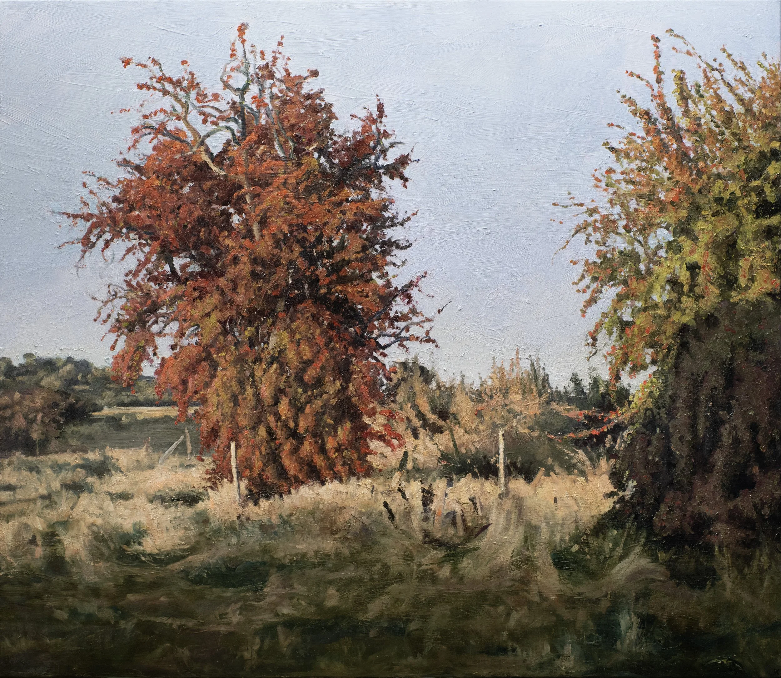 Ratho (Bothwell, Tasmania) 2025, oil on canvas, 107 x 92 cm. Private collection USA