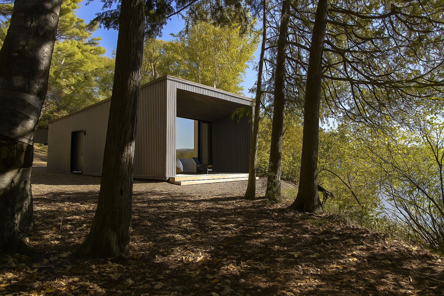Modern forest cabin exterior at Dimensions Retreat, nestled in Algonquin Highlands.