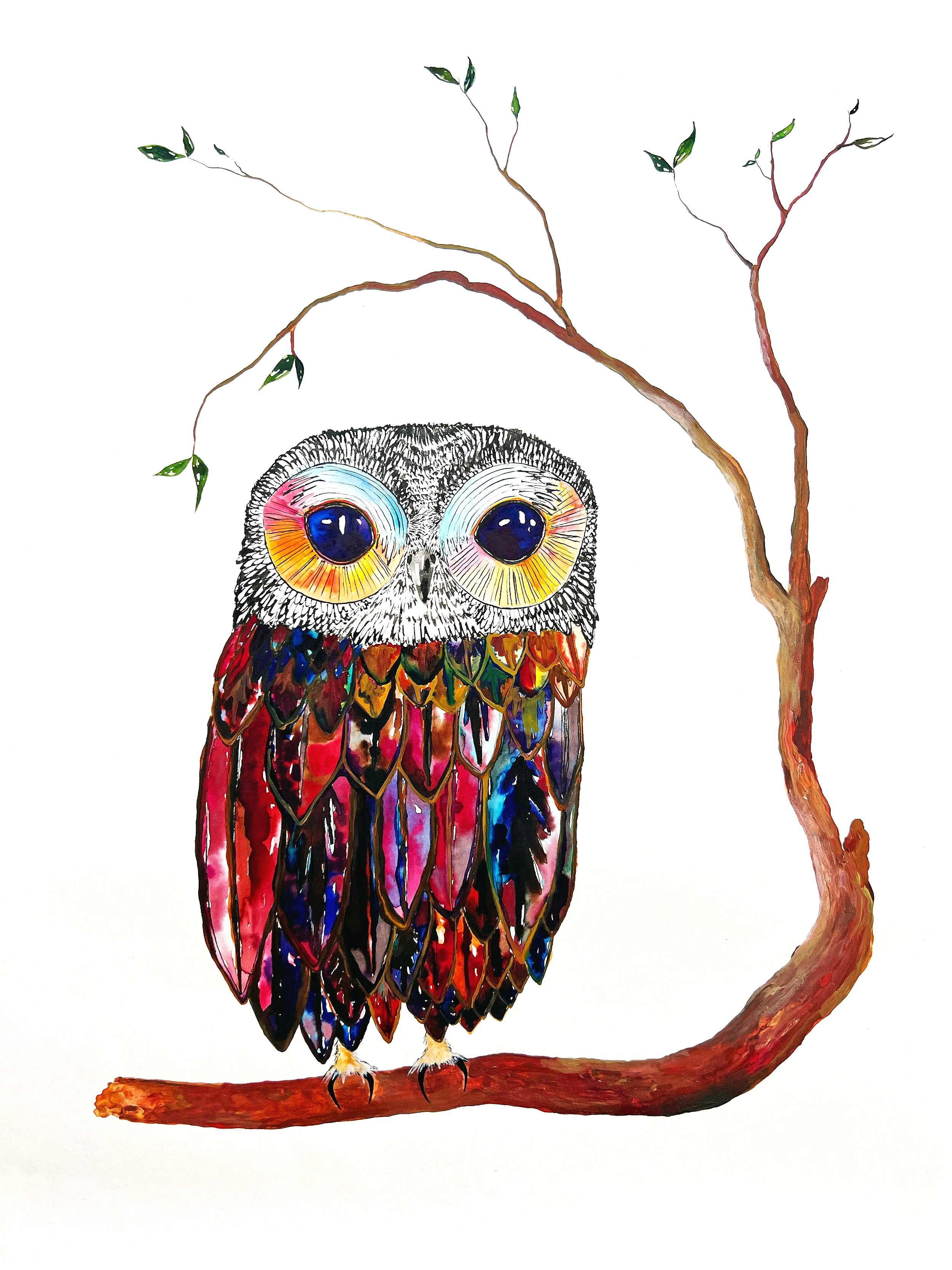 Colourful+Owl.jpg