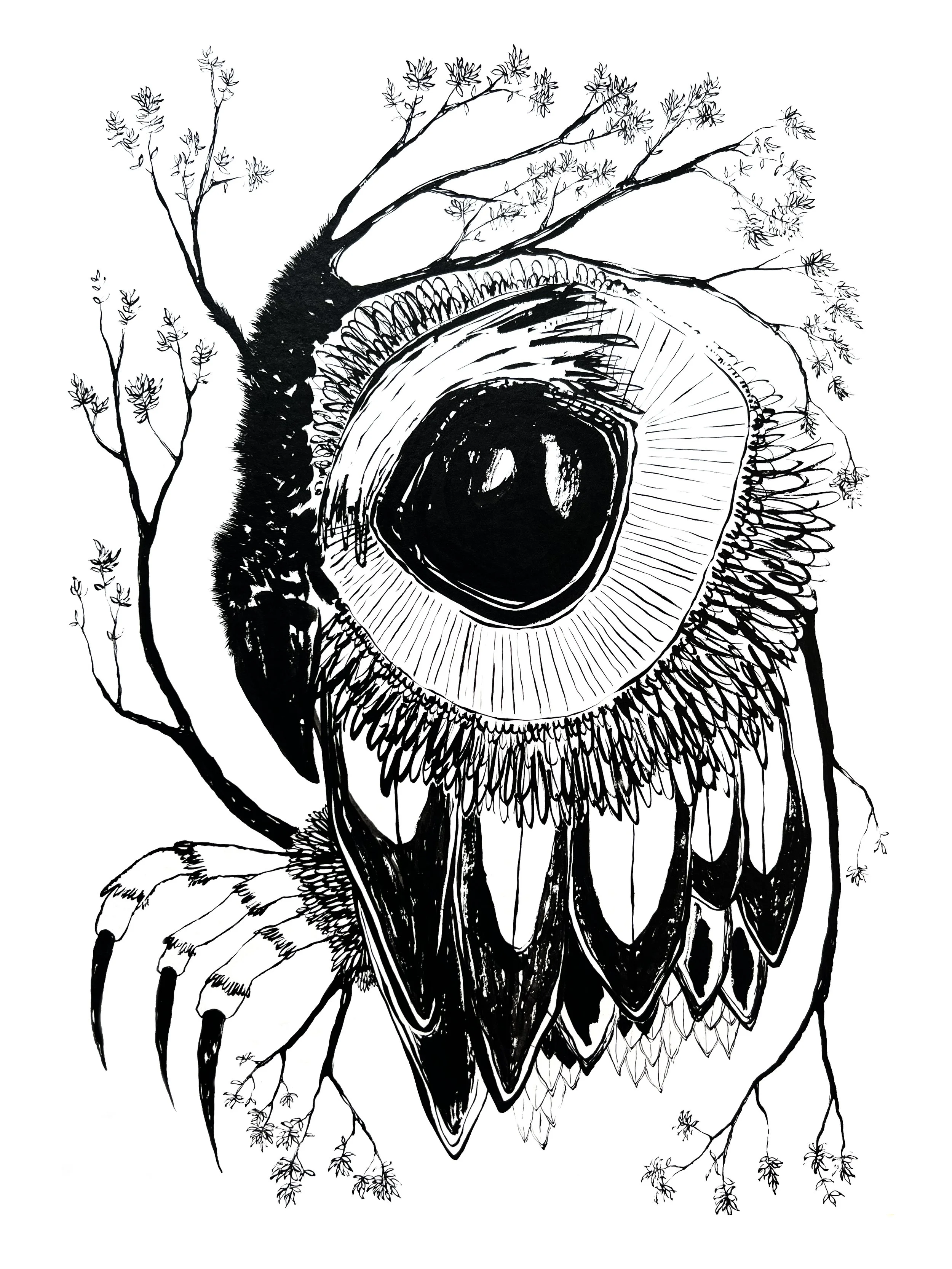 Eye.jpg