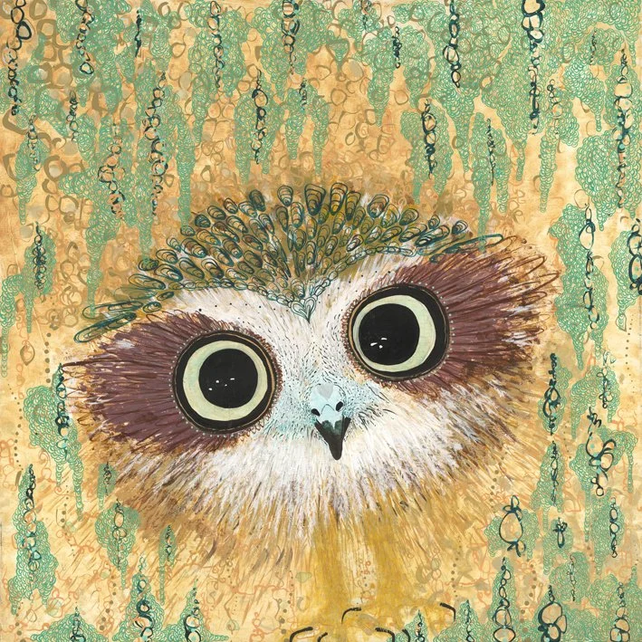 'Boobook' / ochre, ink, gouache and acrylic on canvas, 60cm x 60cm