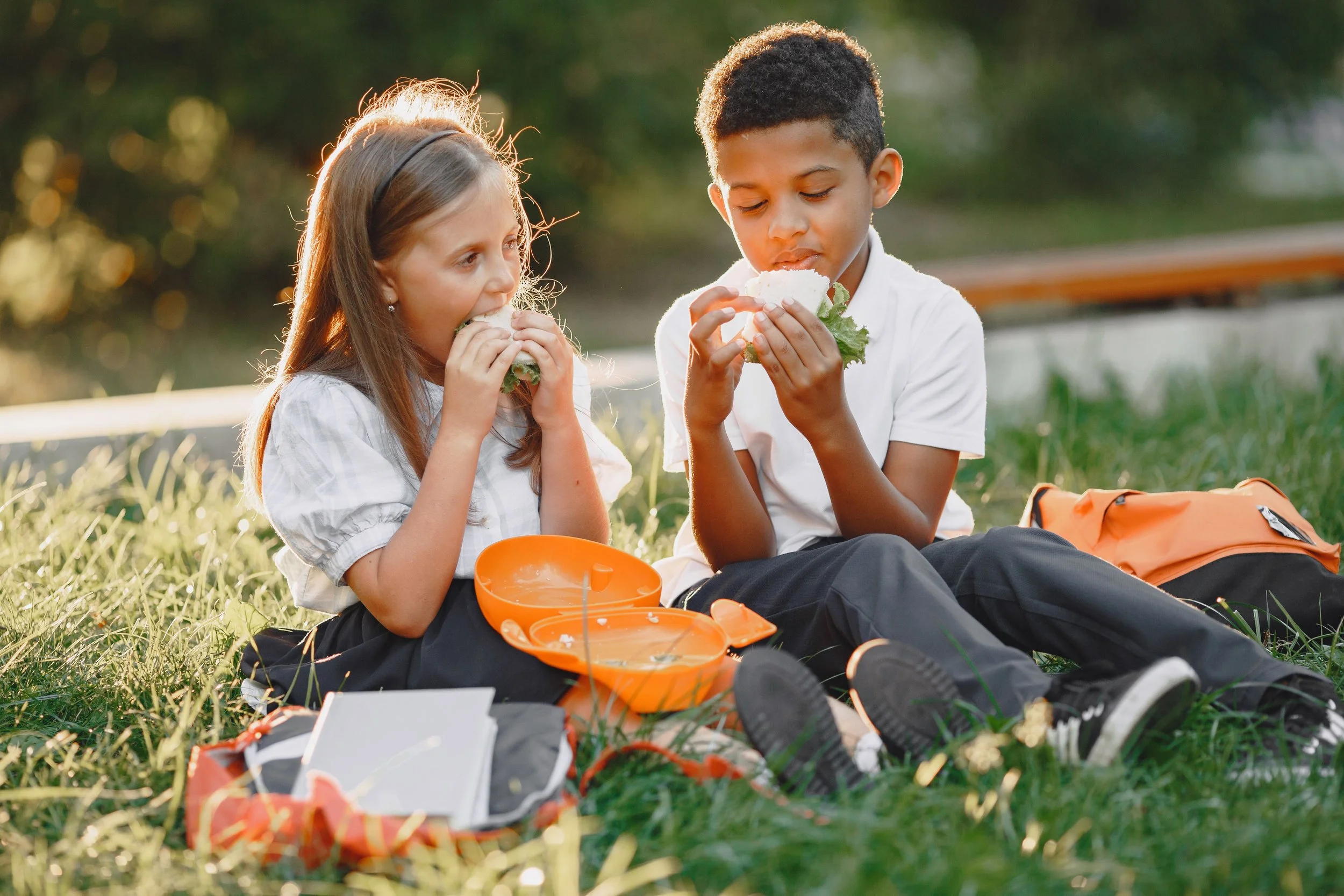Pre-made School Lunch Boxes
