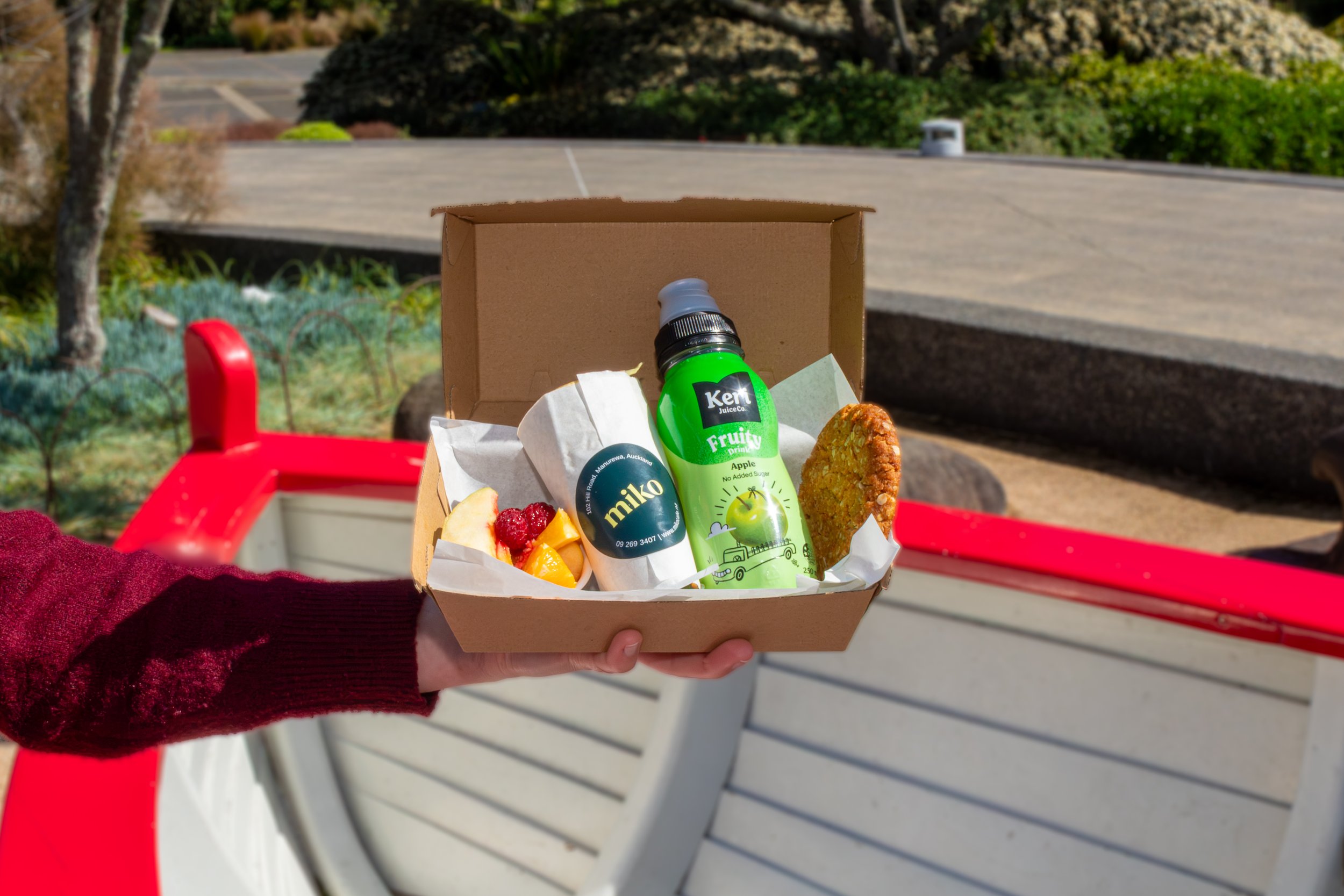 Pre-made School Lunch Boxes