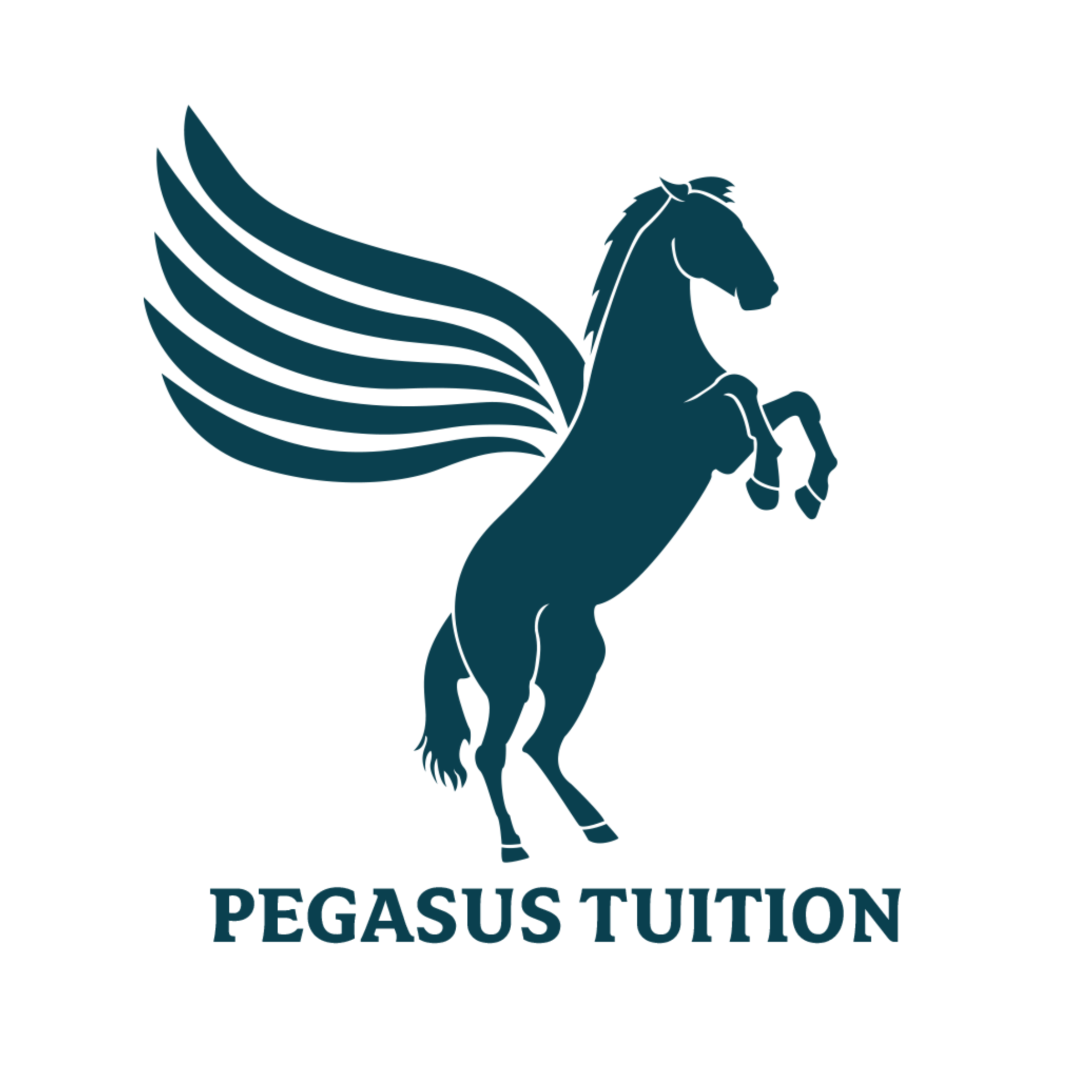Logo featuring a stylized blue Pegasus with wings and the text 'Pegasus Tuition' beneath it.