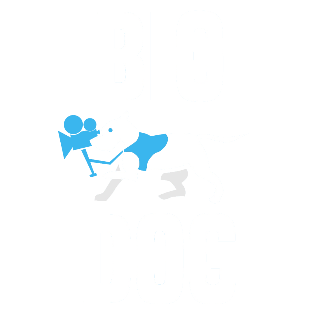 Graphic design featuring the words 'BIG' and 'DOG' in large white letters, with a blue and white illustration of a dog holding a camera in its mouth