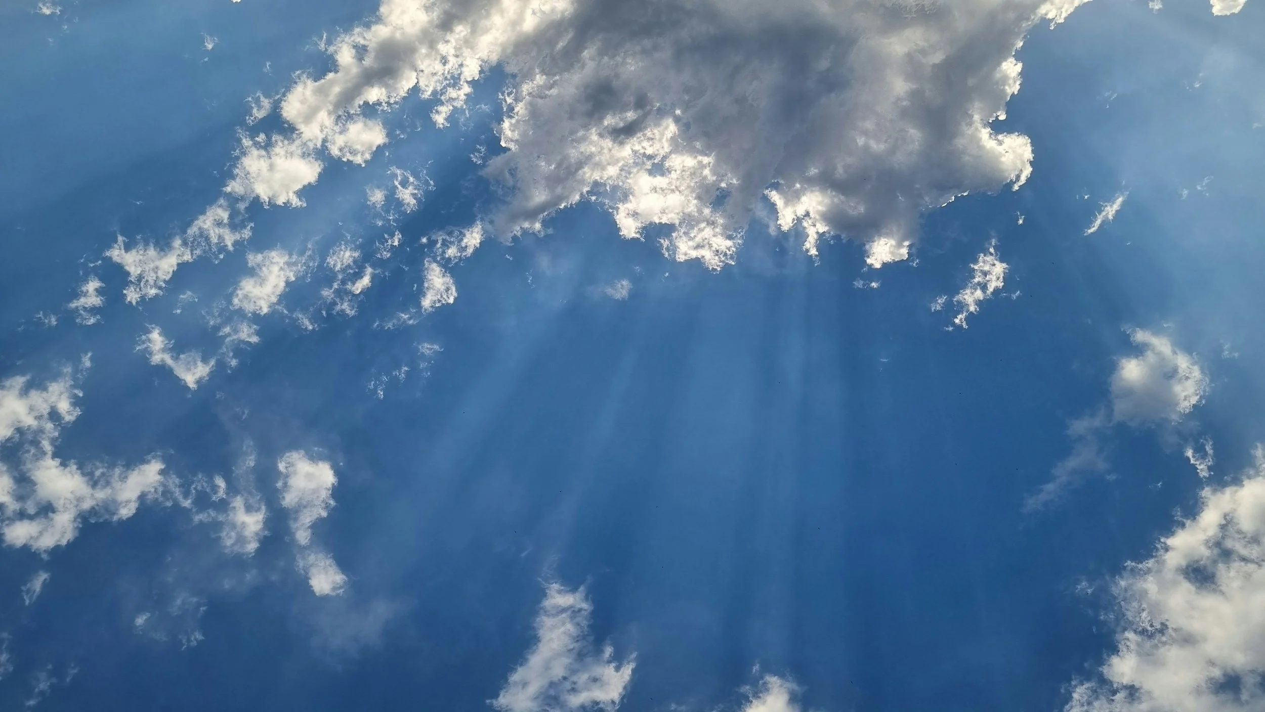 Grief Is Not a Season—It’s a Language We Learn to Speak