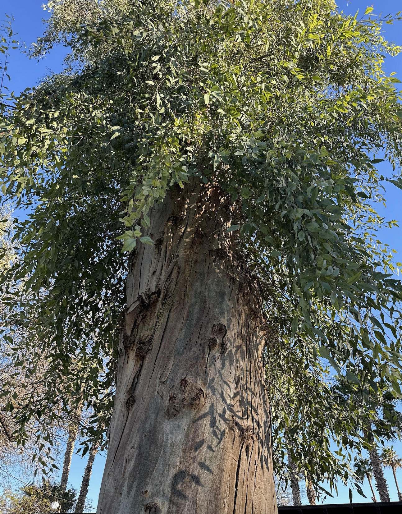 The Integration: A Life That Holds&nbsp;Both