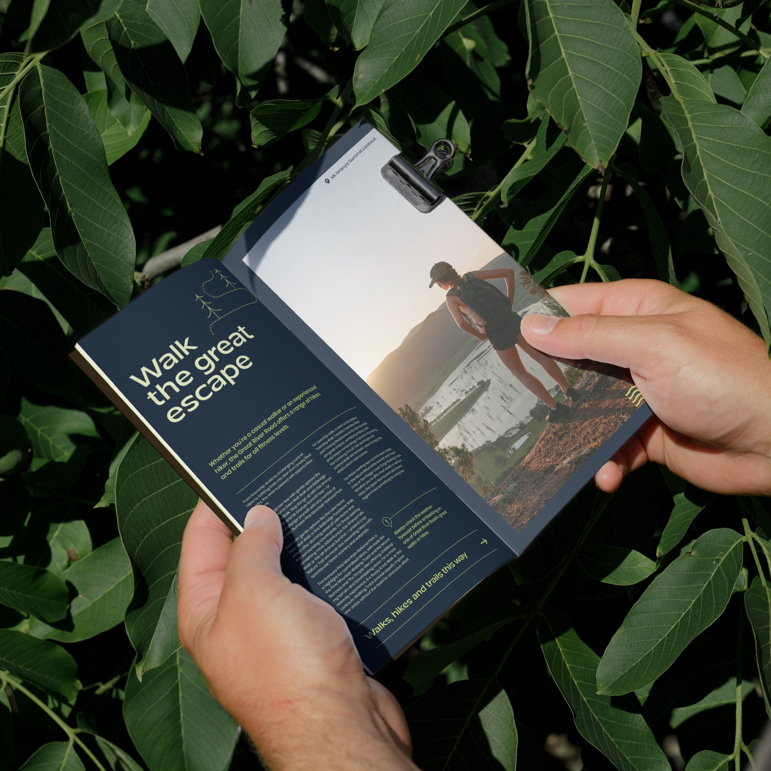 Towong Shire Council Great River Road Brand Creation + Destination Marketing + Tourism + Local Government 7