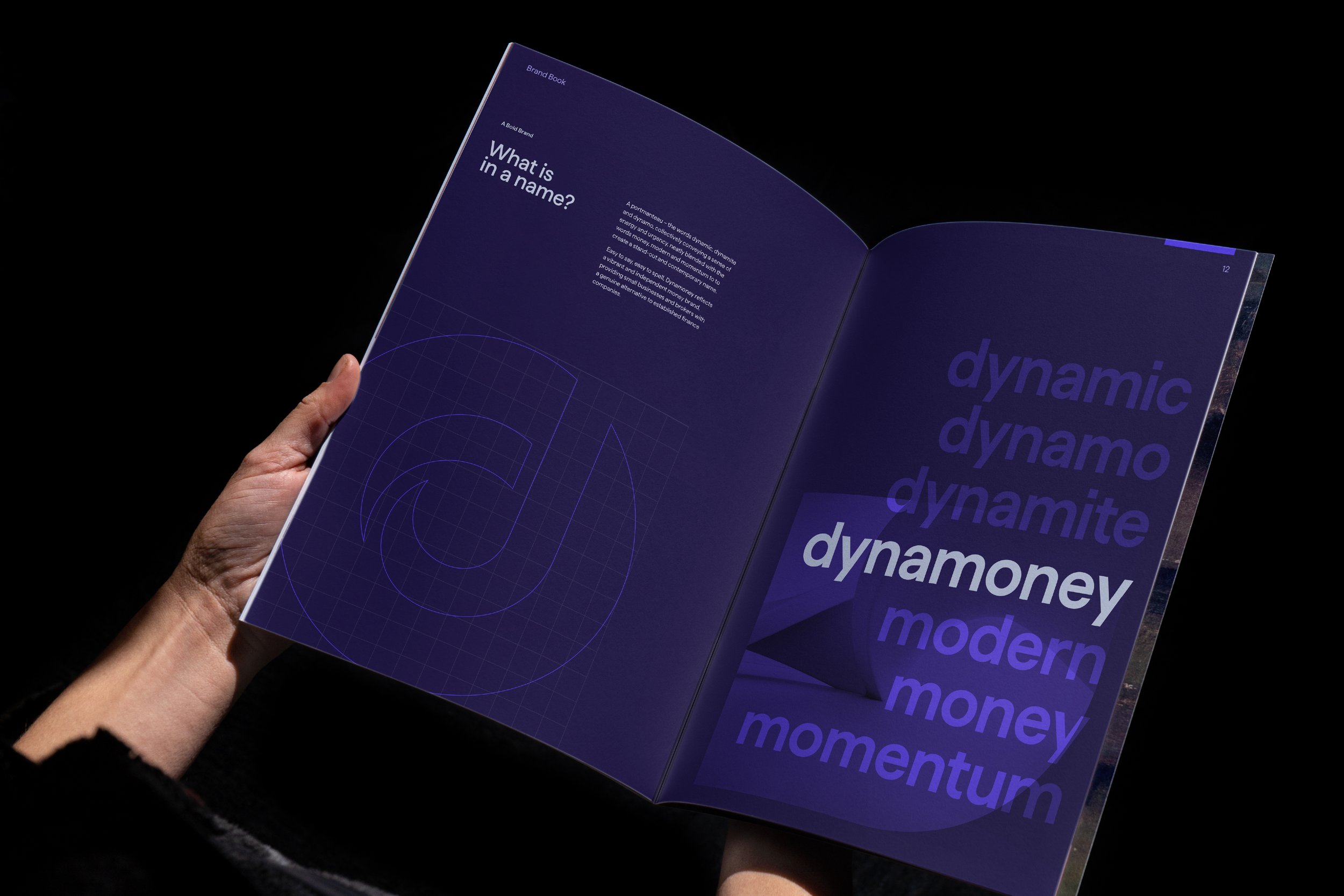 Grow Finance Dynamoney Brand Creation + Financial Services + SME Lending 10