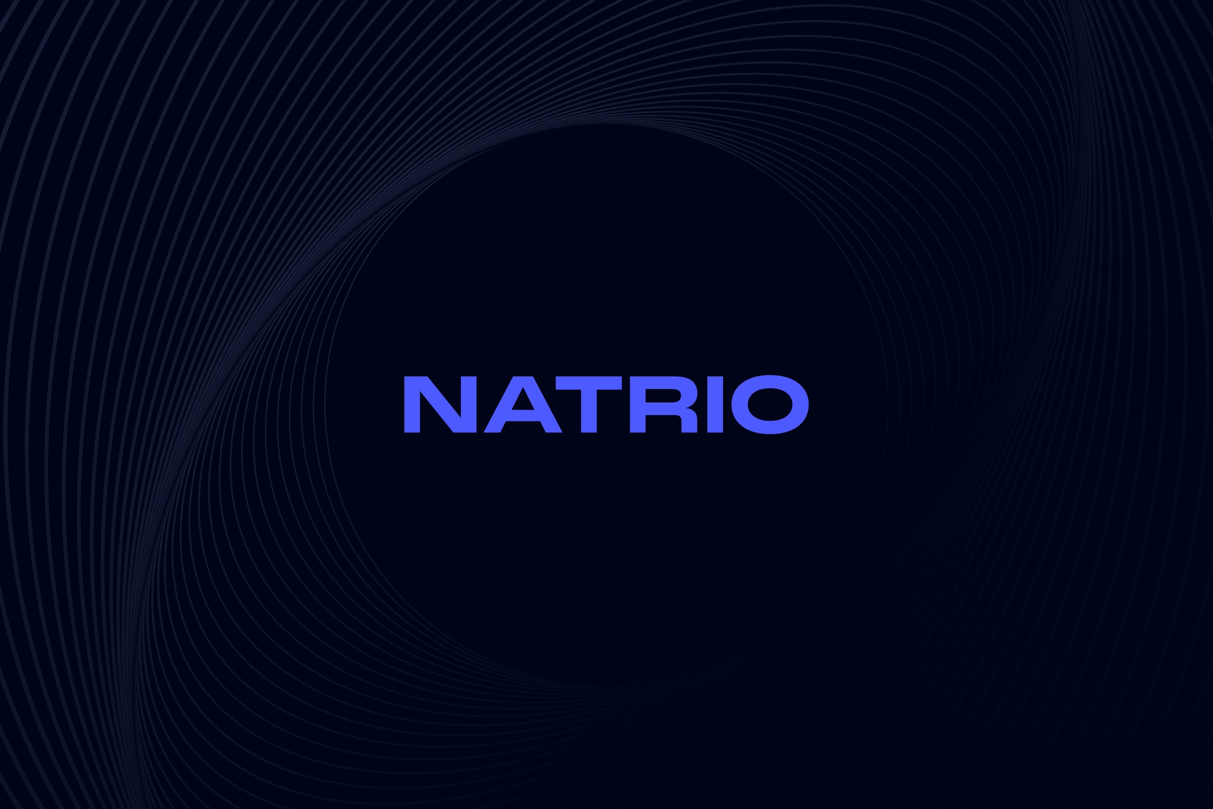Natrio Logistics Brand Evolution Logistics + Supply Chain Solutions + Freight + B2B 8