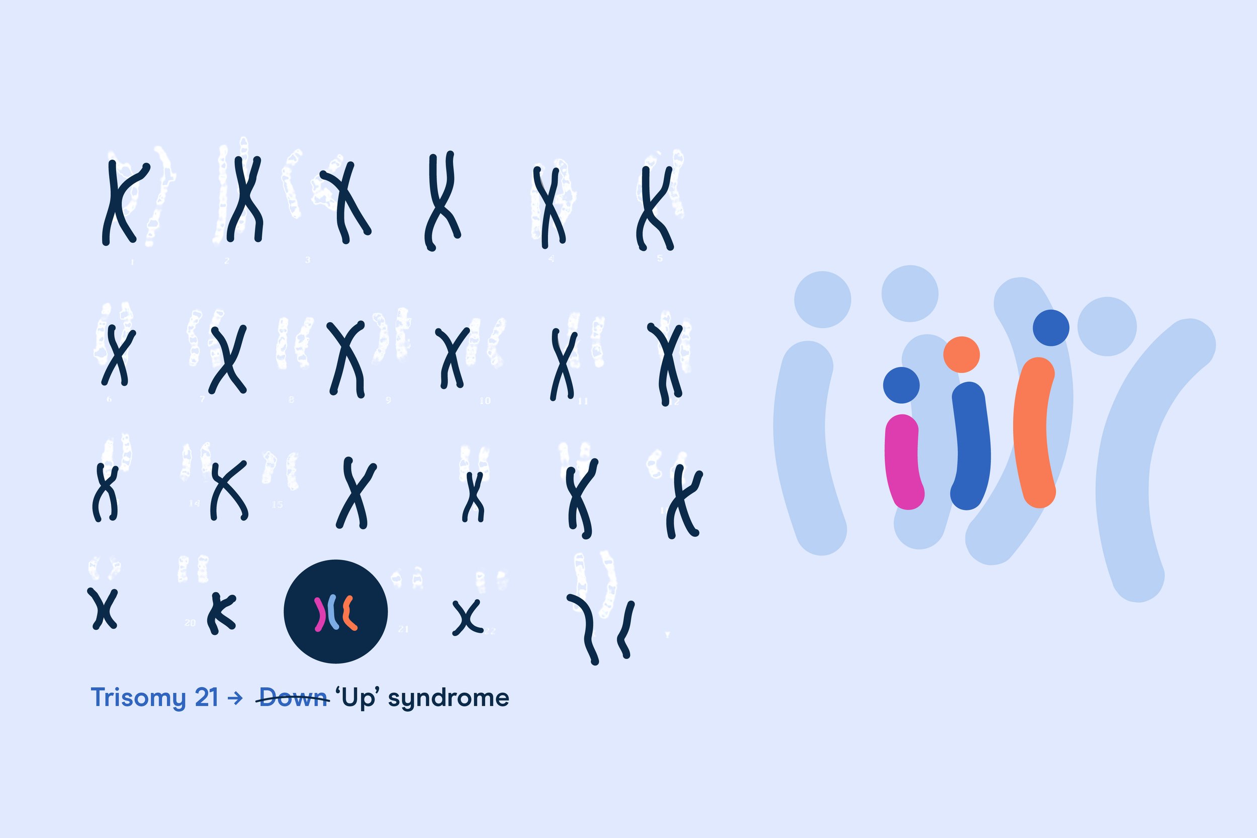 Inclusion Foundation Brand Alignment + Brand Architecture + Advocacy + Social Impact + Not For Profit 14