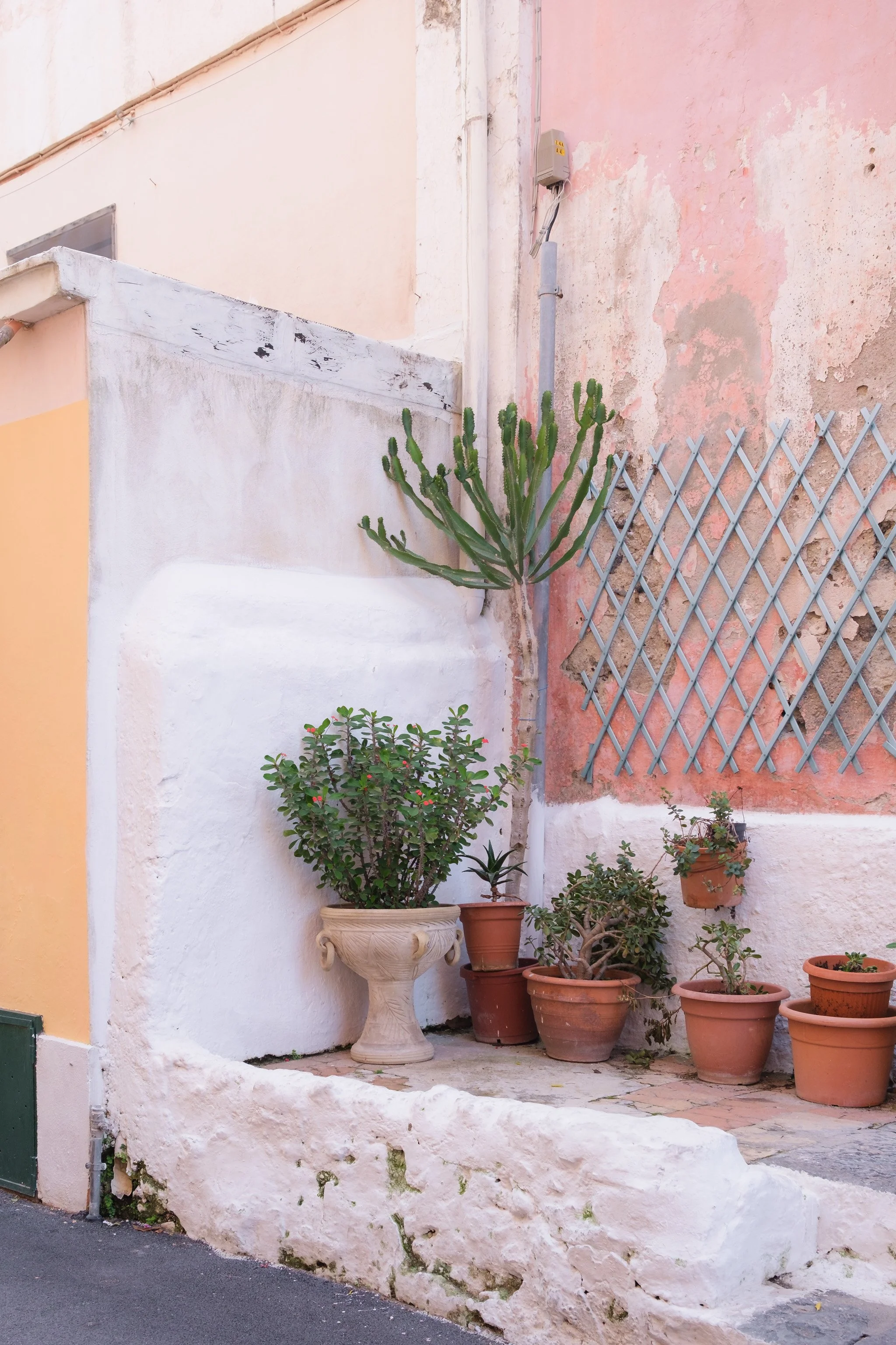 Ischia Brindza-11.jpg