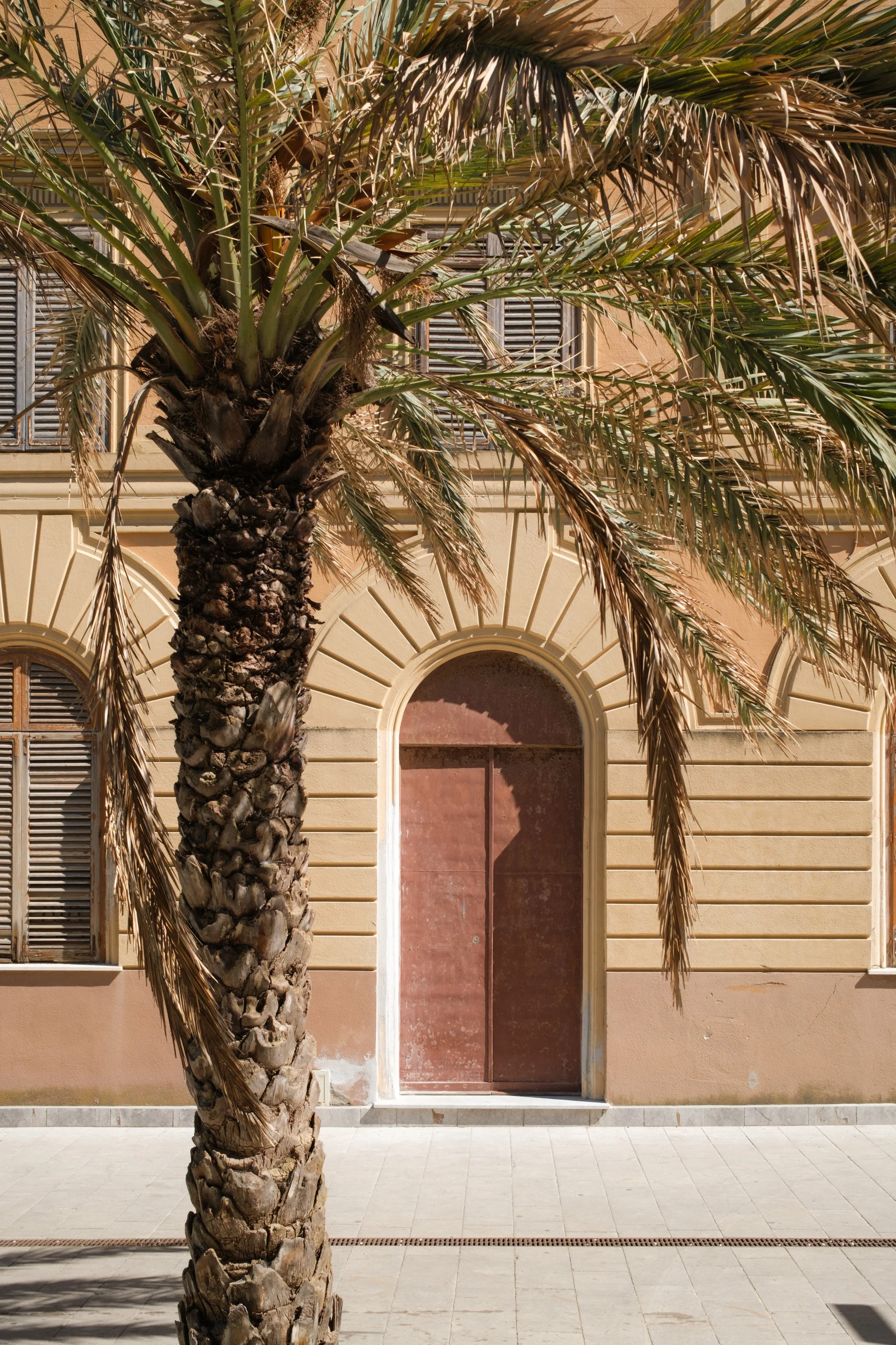 Palermo Brindza-25.jpg