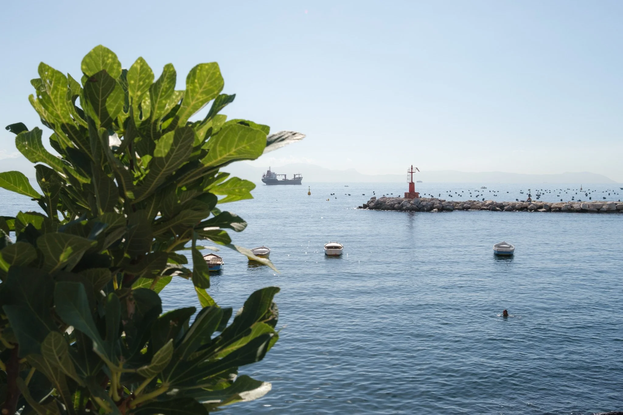Napoli Brindza-20.jpg