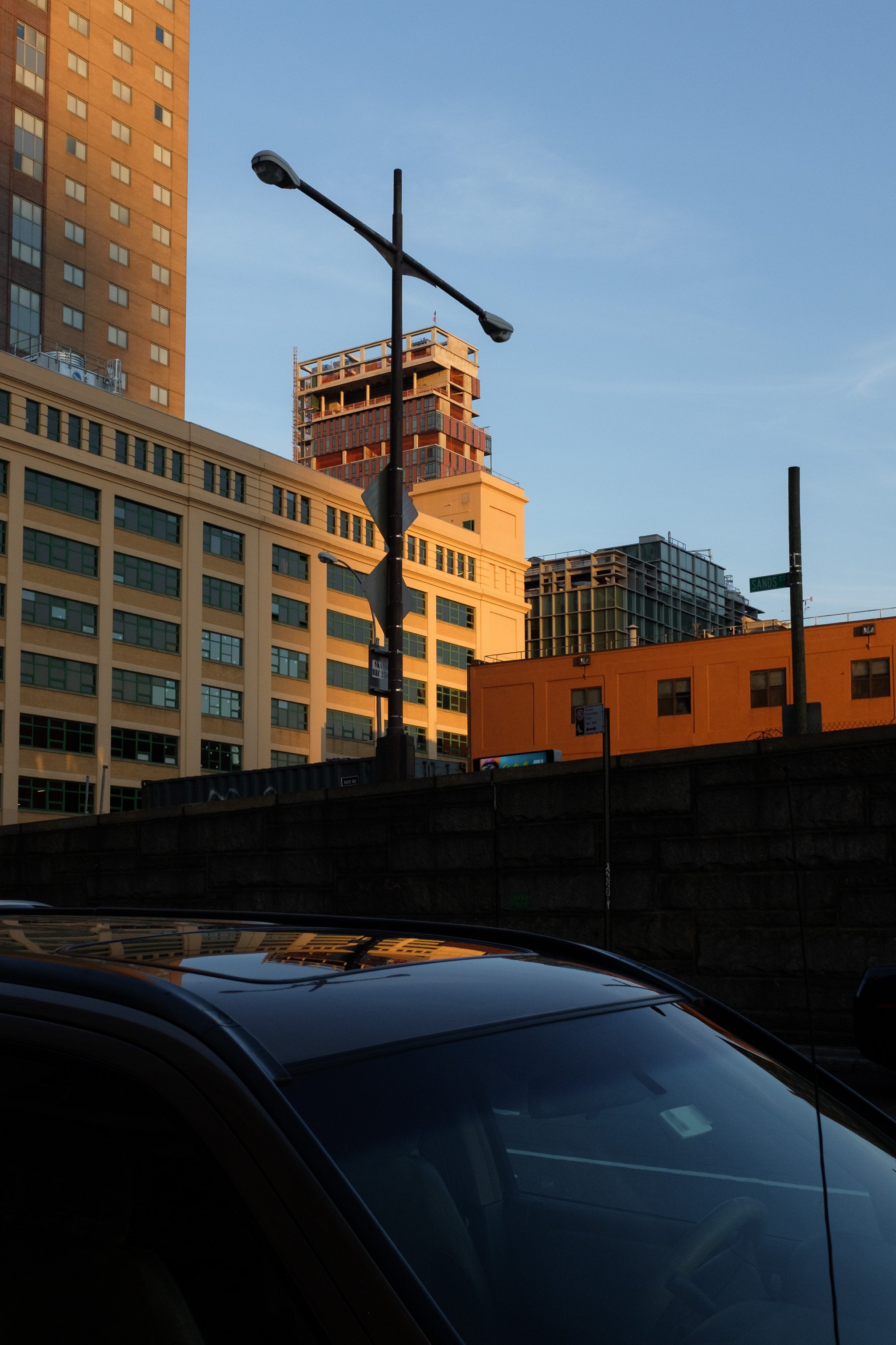 Brindza NY-7.jpg