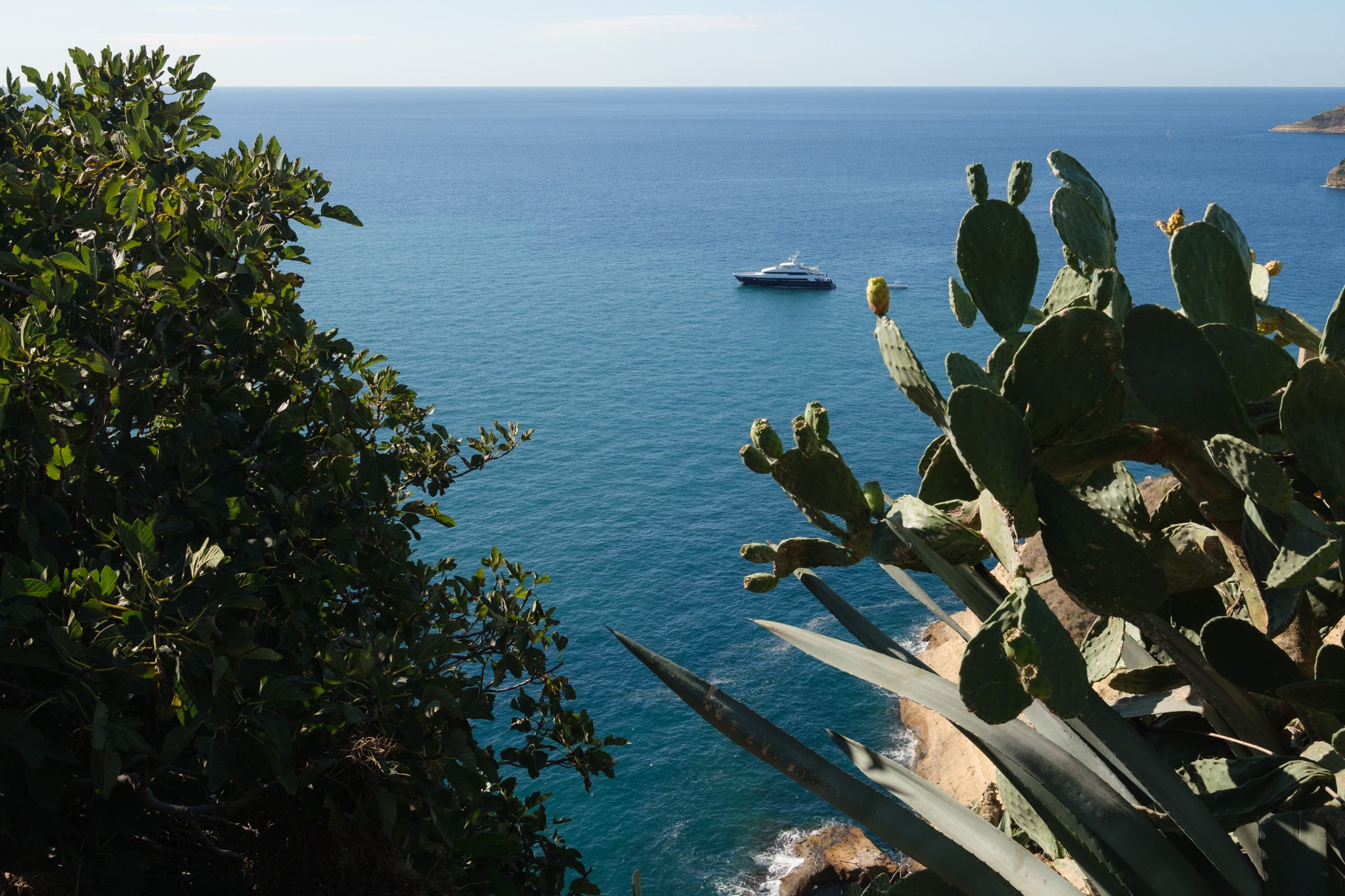 Procida Brindza-1.jpg