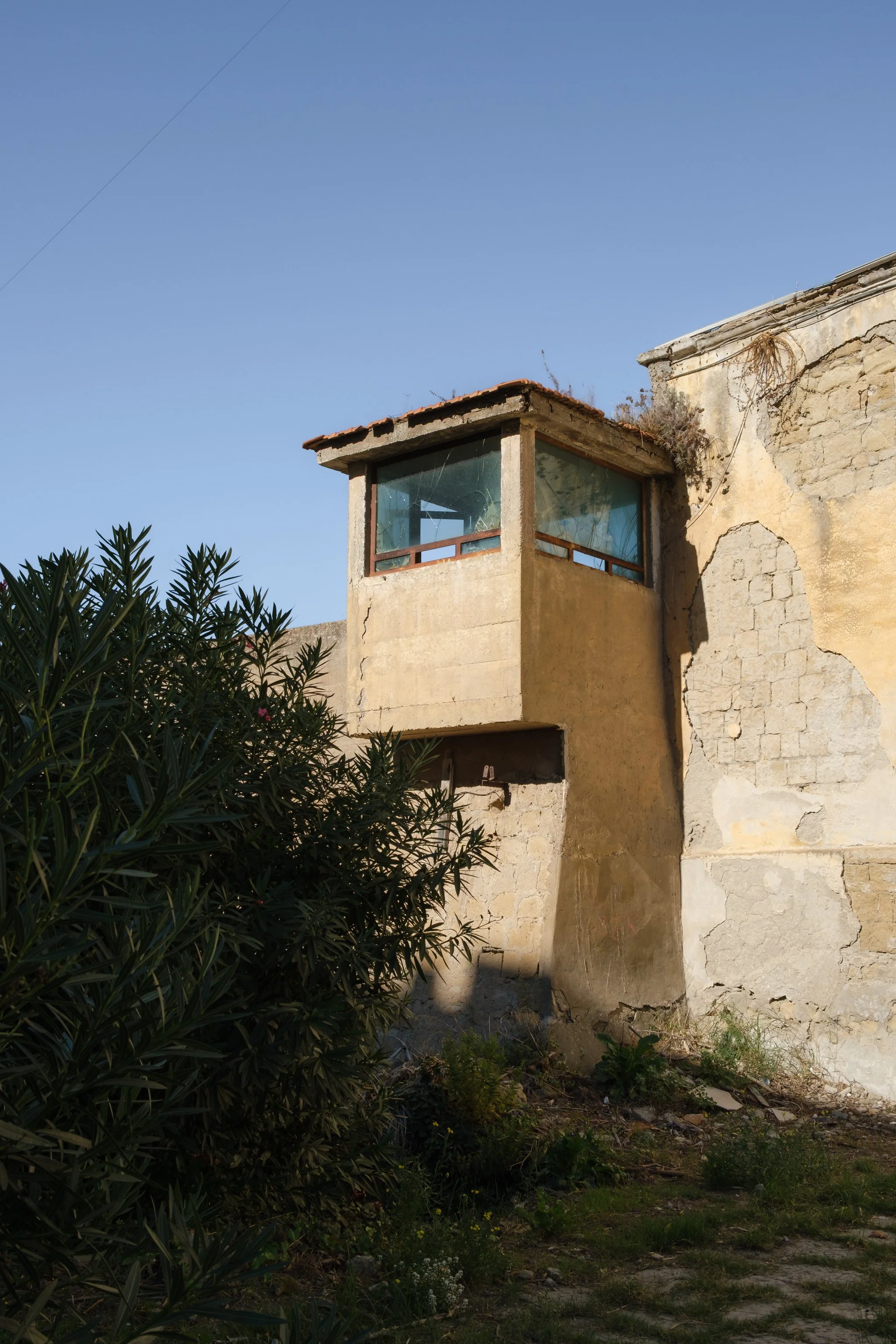 Procida Brindza-13.jpg