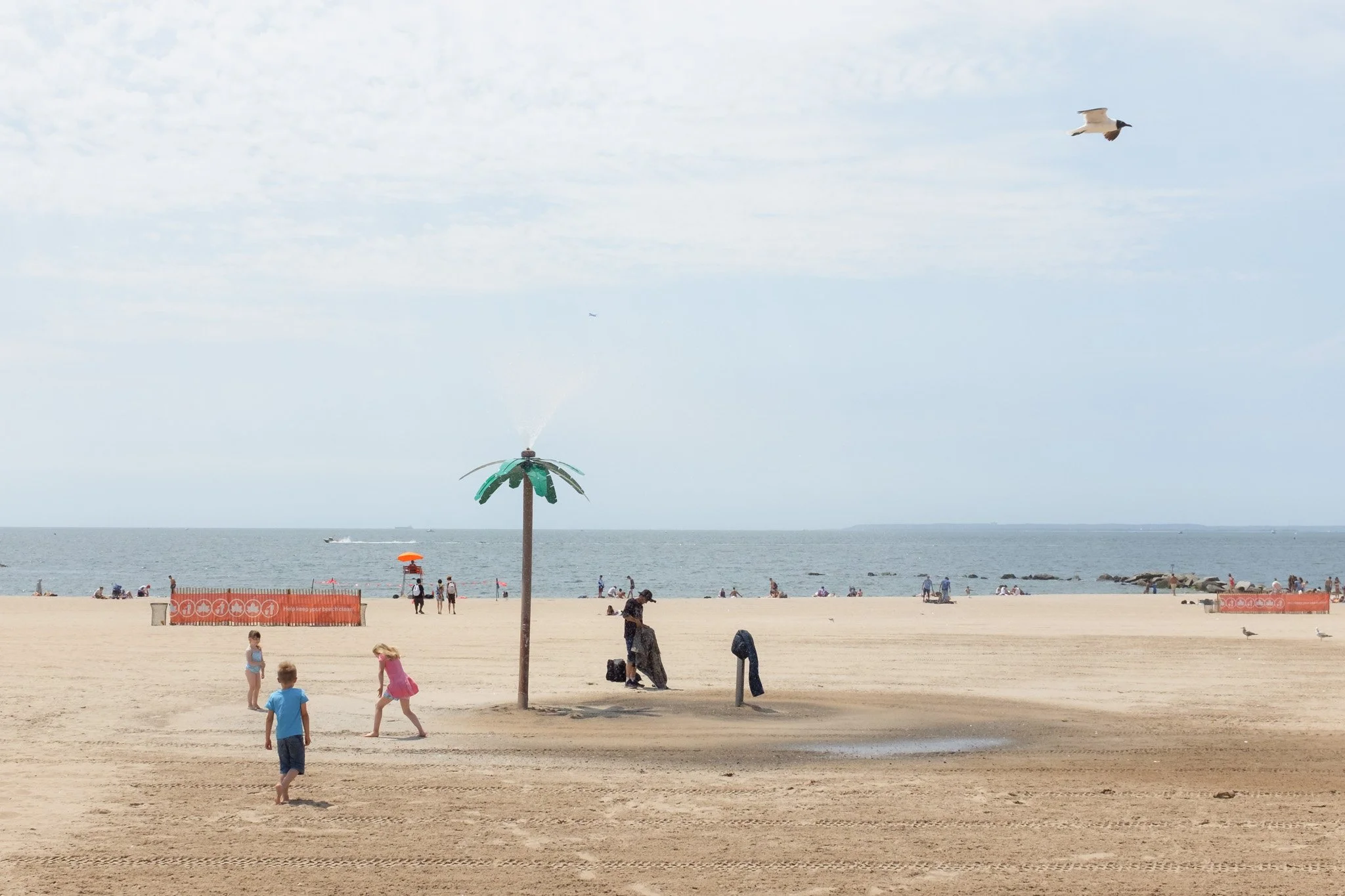 Brindza Coney Island-16.jpg