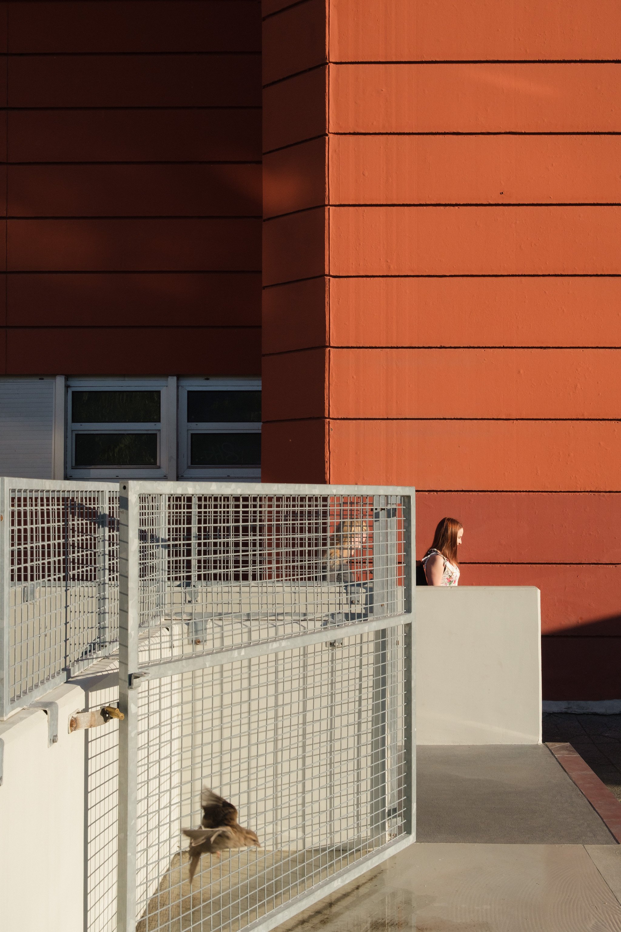 Brindza Zugló-18.jpg