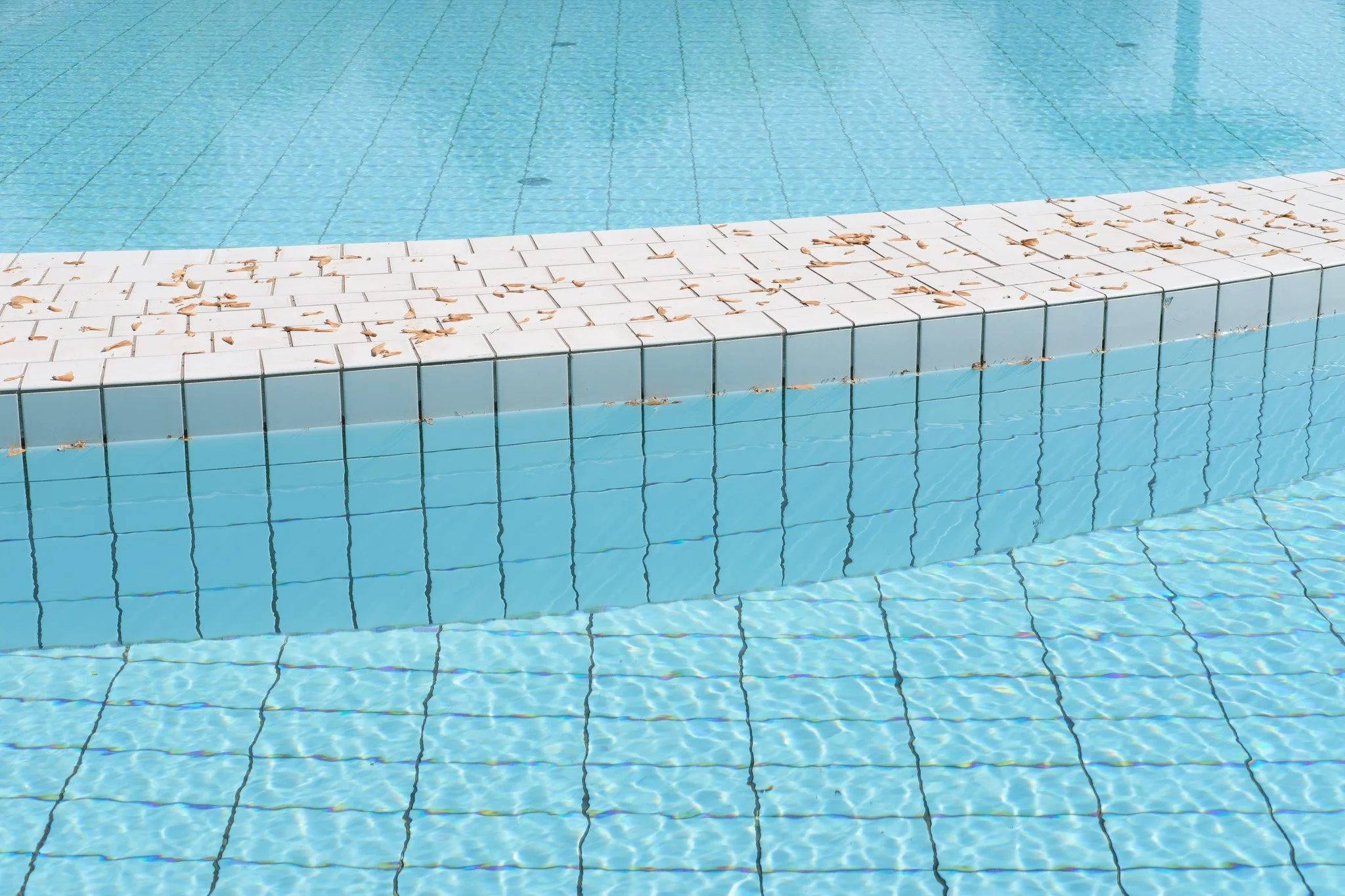 Brindza Mezőkövesd-8.jpg