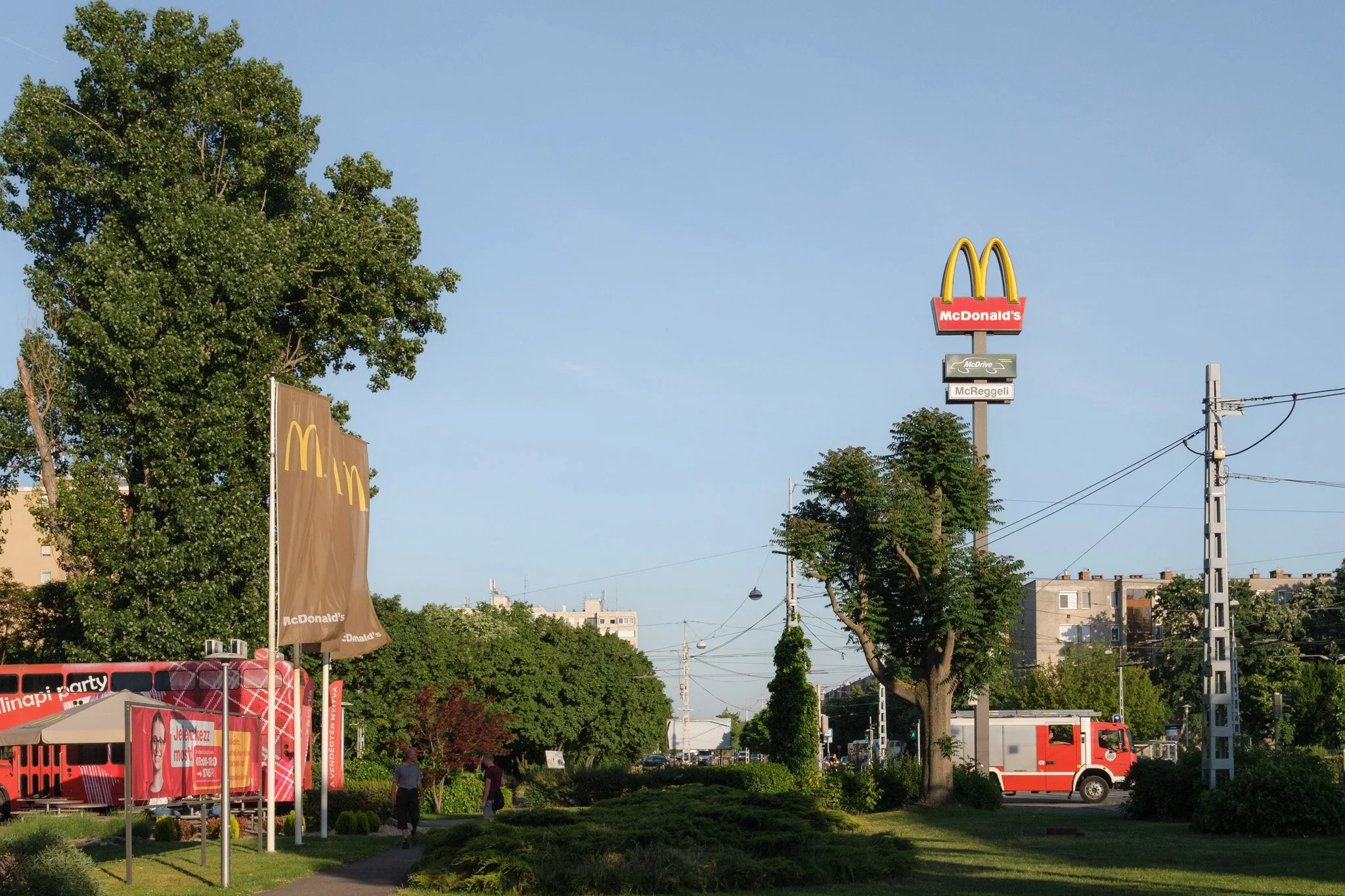 Brindza Zugló-21.jpg