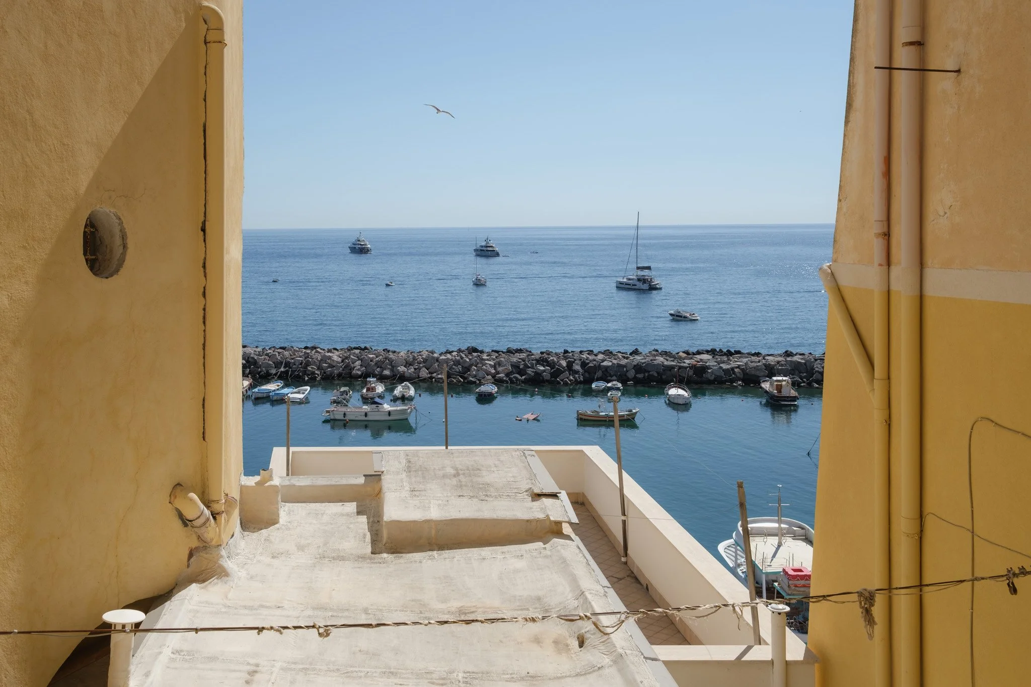 Procida Brindza-27.jpg