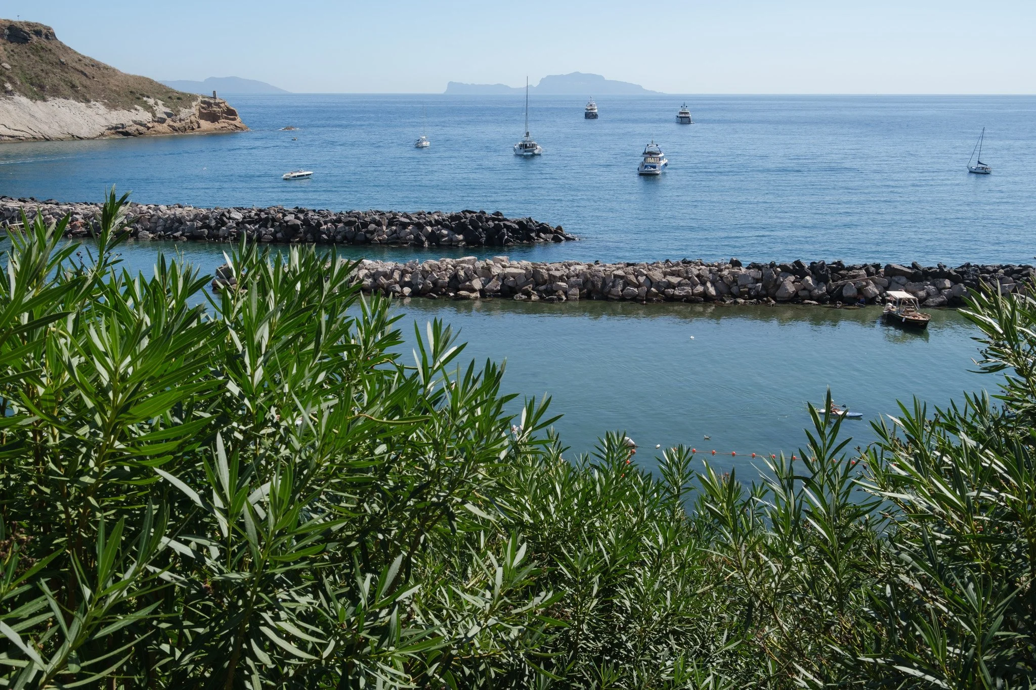 Procida Brindza-34.jpg