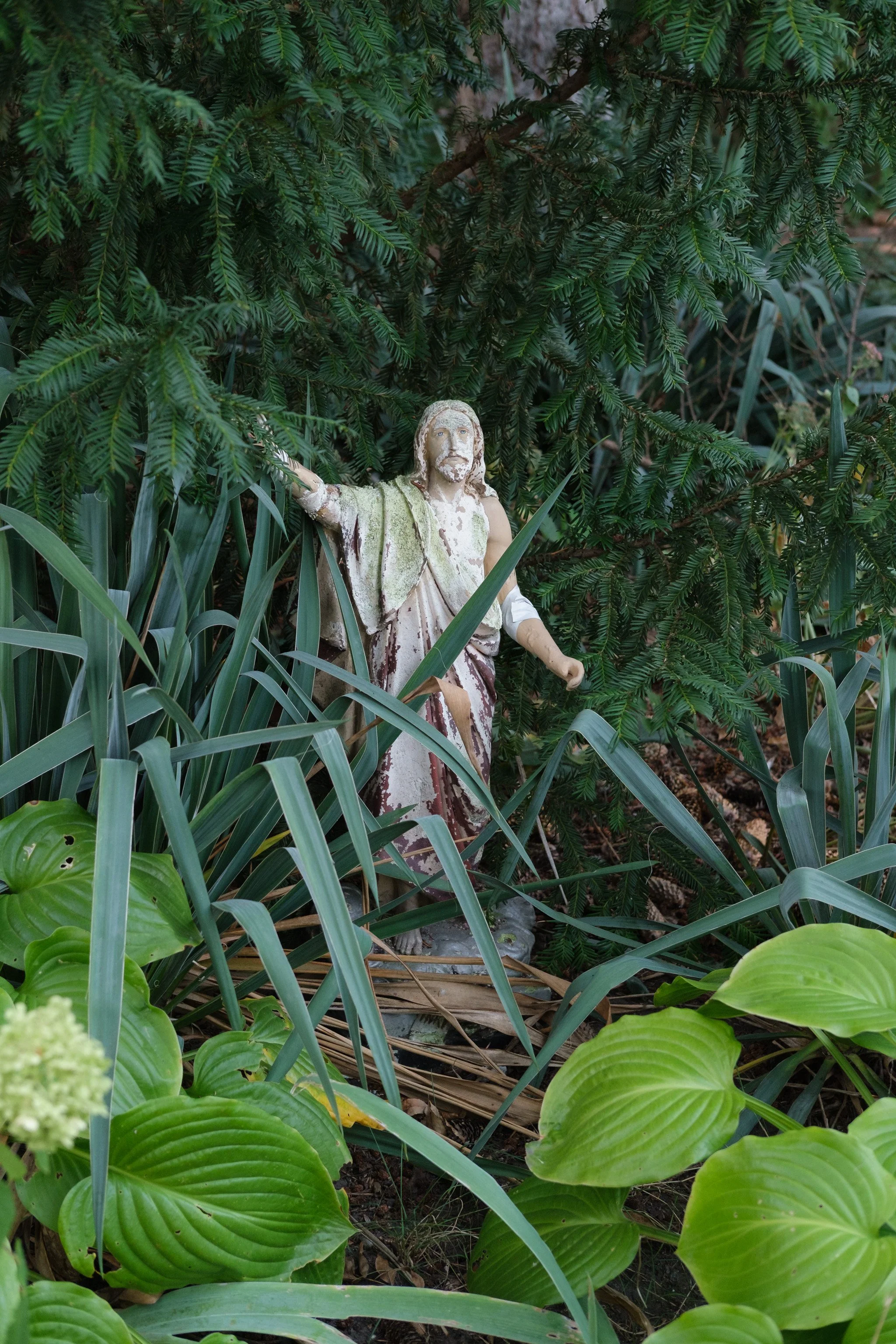 Brindza Zugló-4.jpg