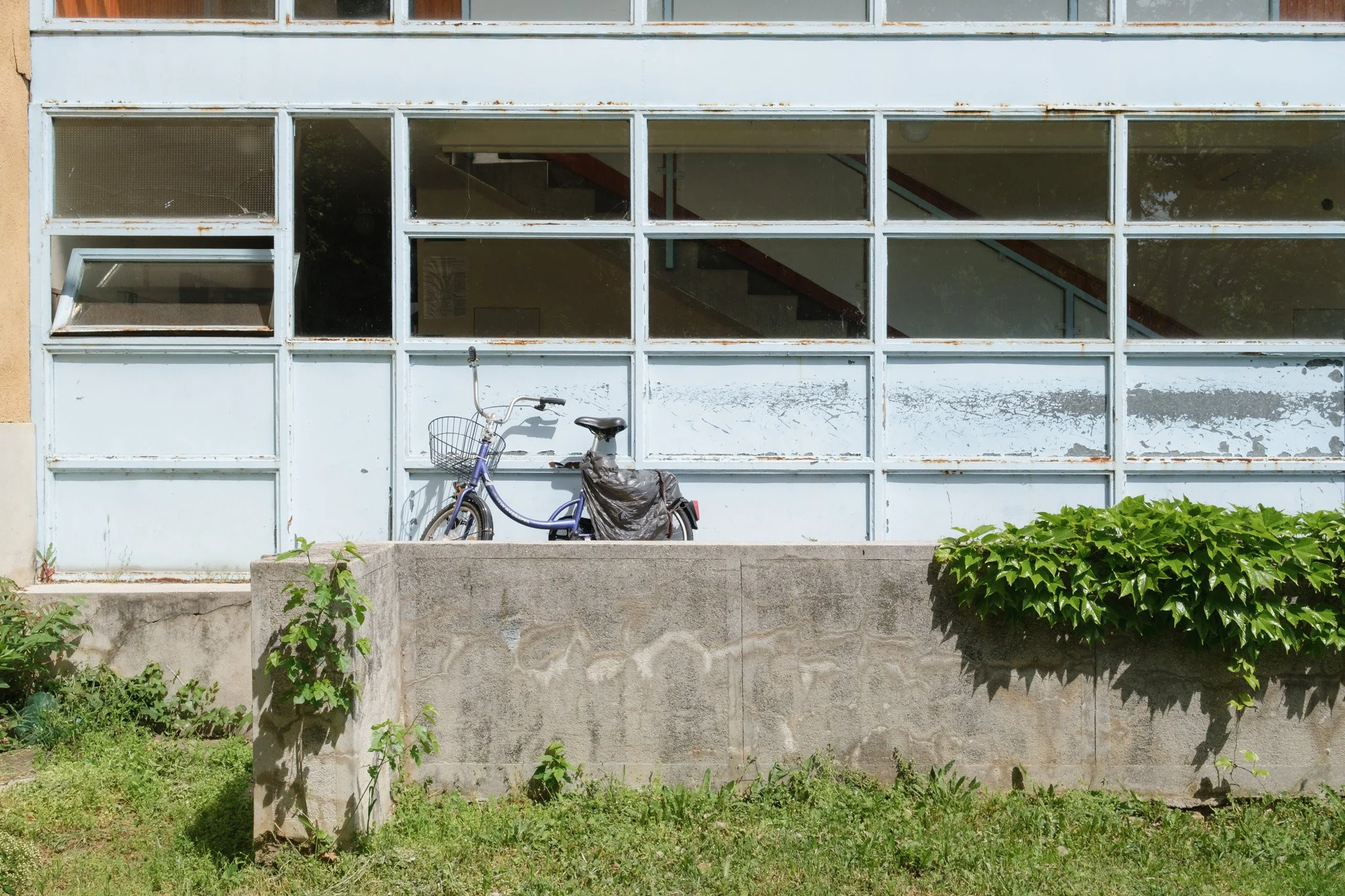 Brindza Mezőkövesd-15.jpg