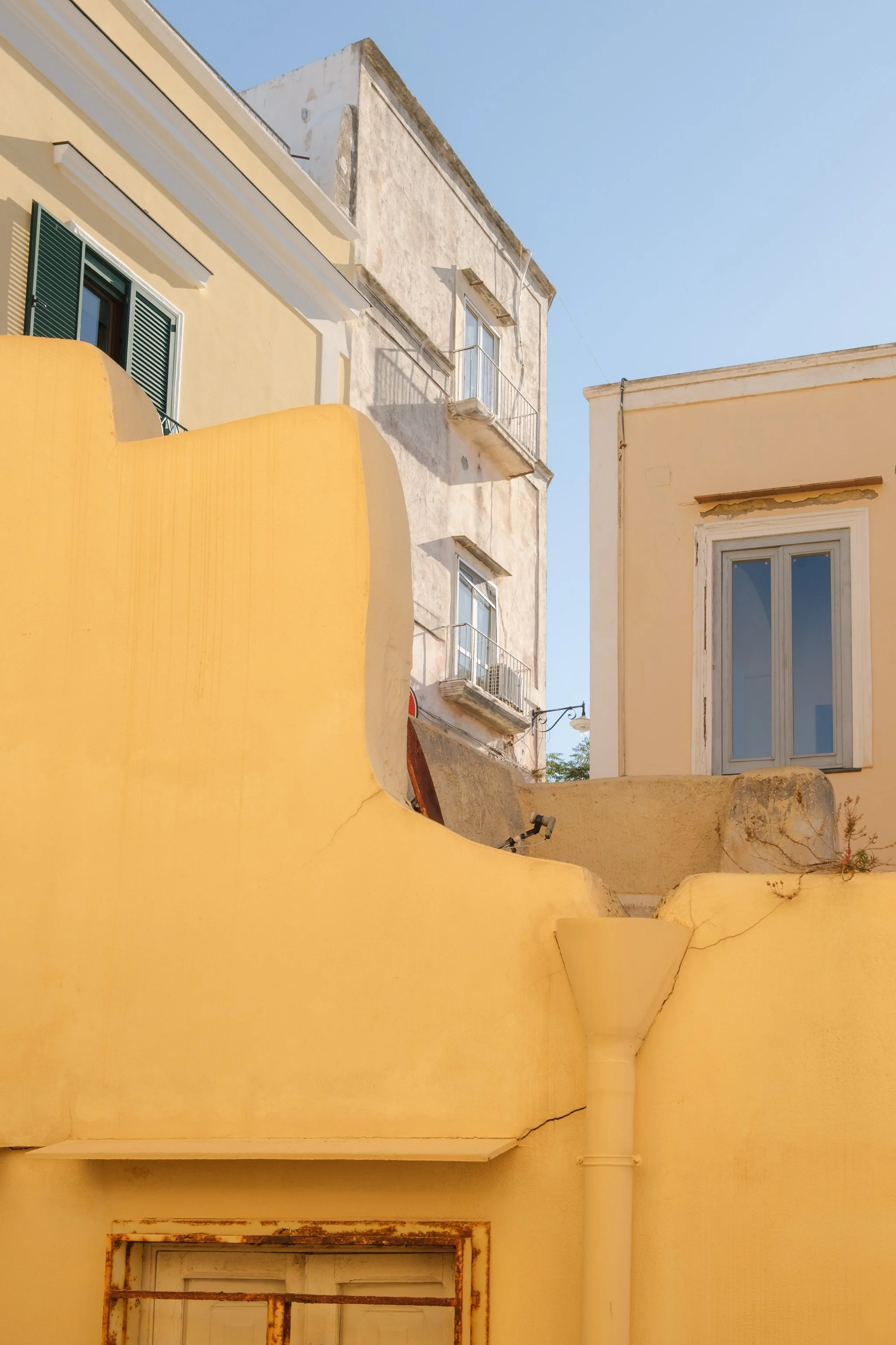 Procida Brindza-4.jpg