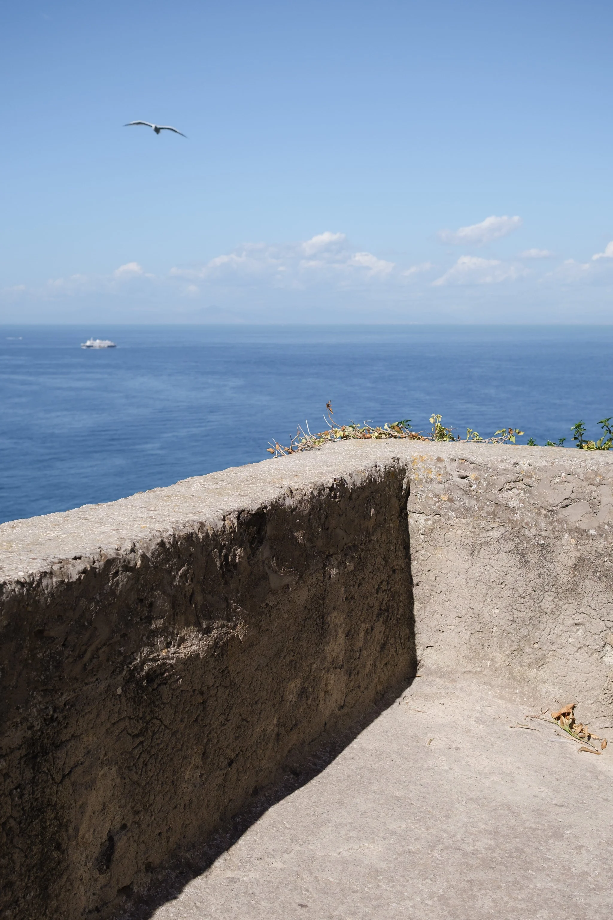 Ischia Brindza-6.jpg