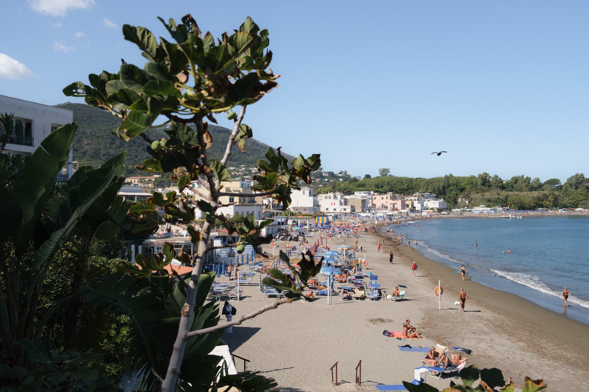Ischia Brindza-12.jpg