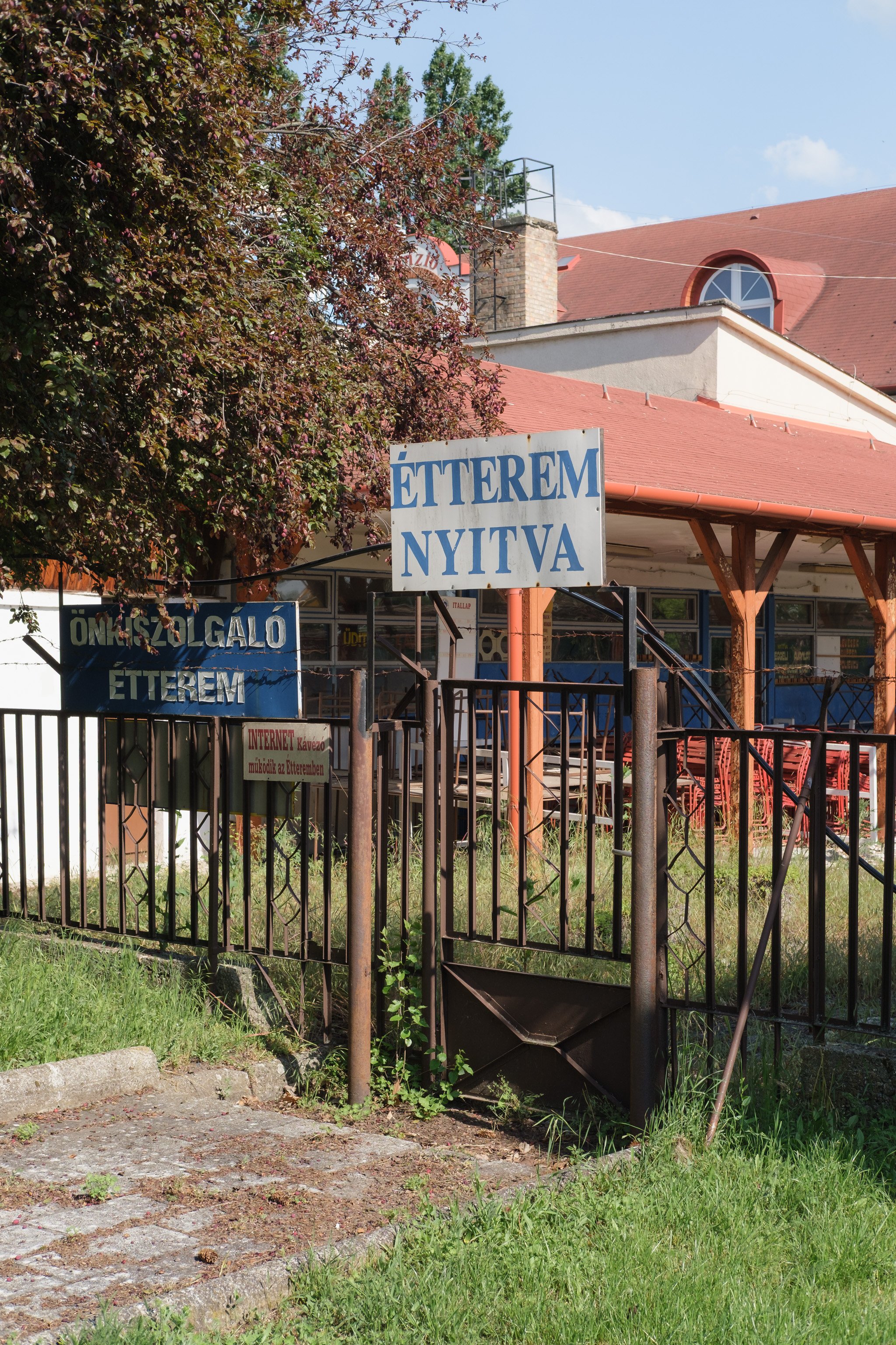 Brindza Mezőkövesd-30.jpg