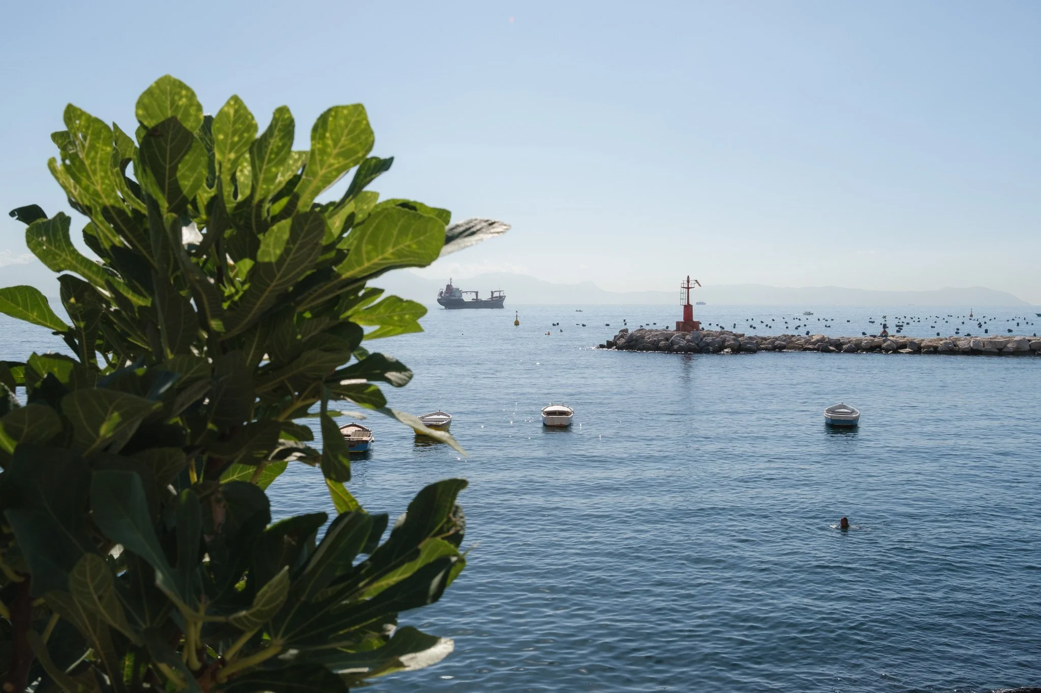 Napoli Brindza-20.jpg