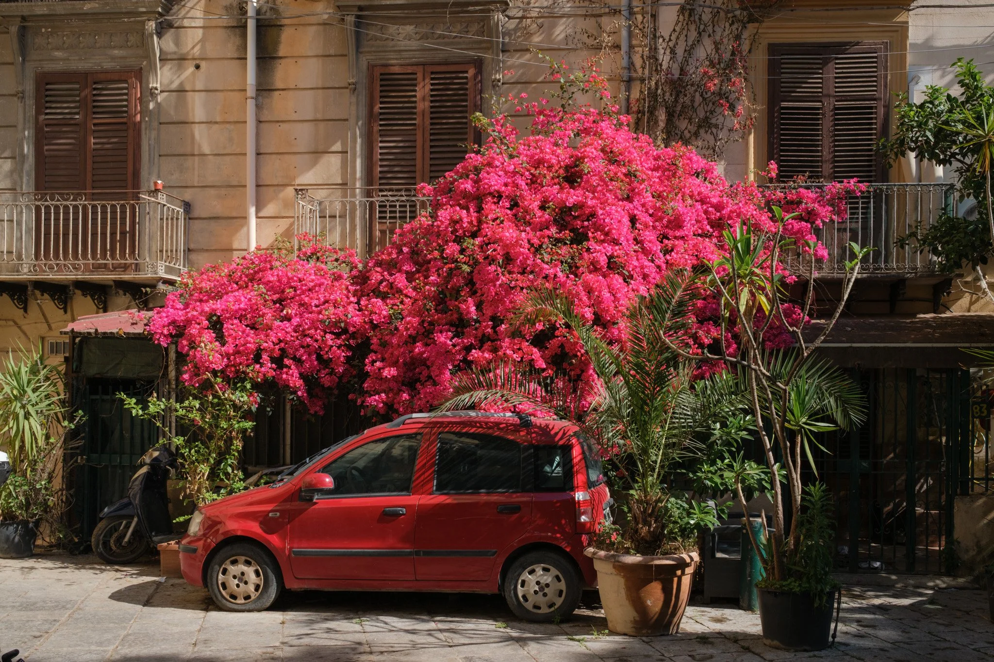 Palermo Brindza-37.jpg