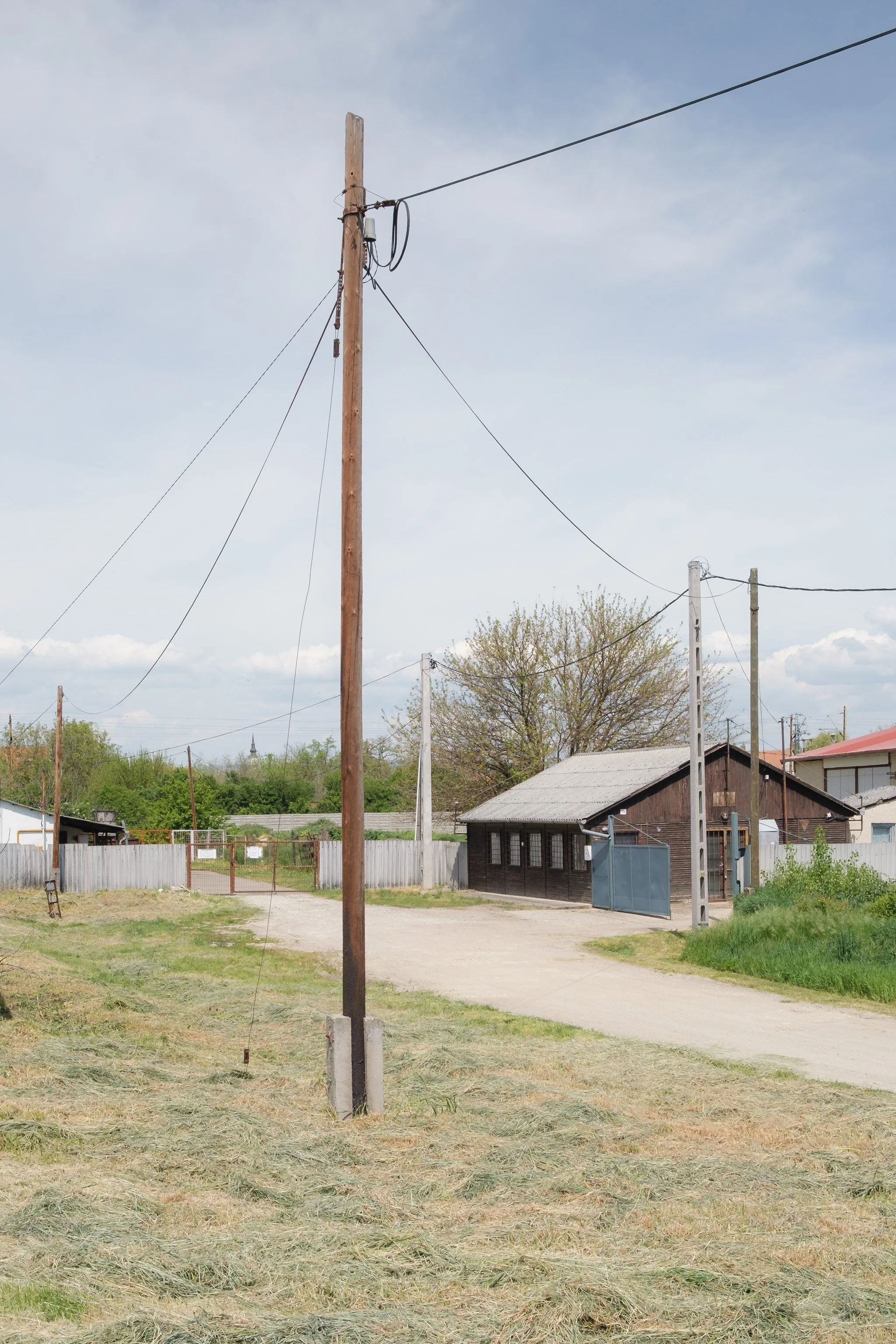 Brindza Mezőkövesd-19.jpg