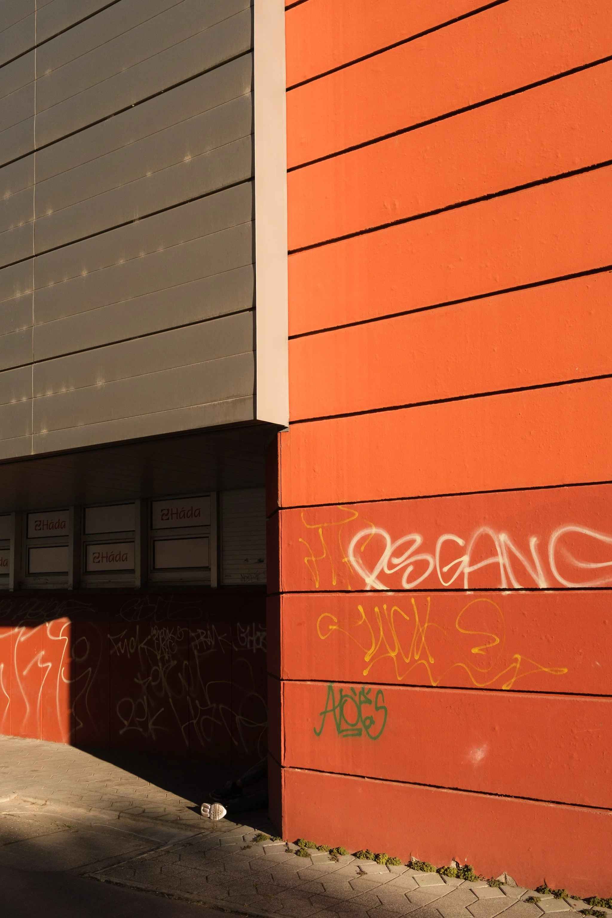 Brindza Zugló-29.jpg