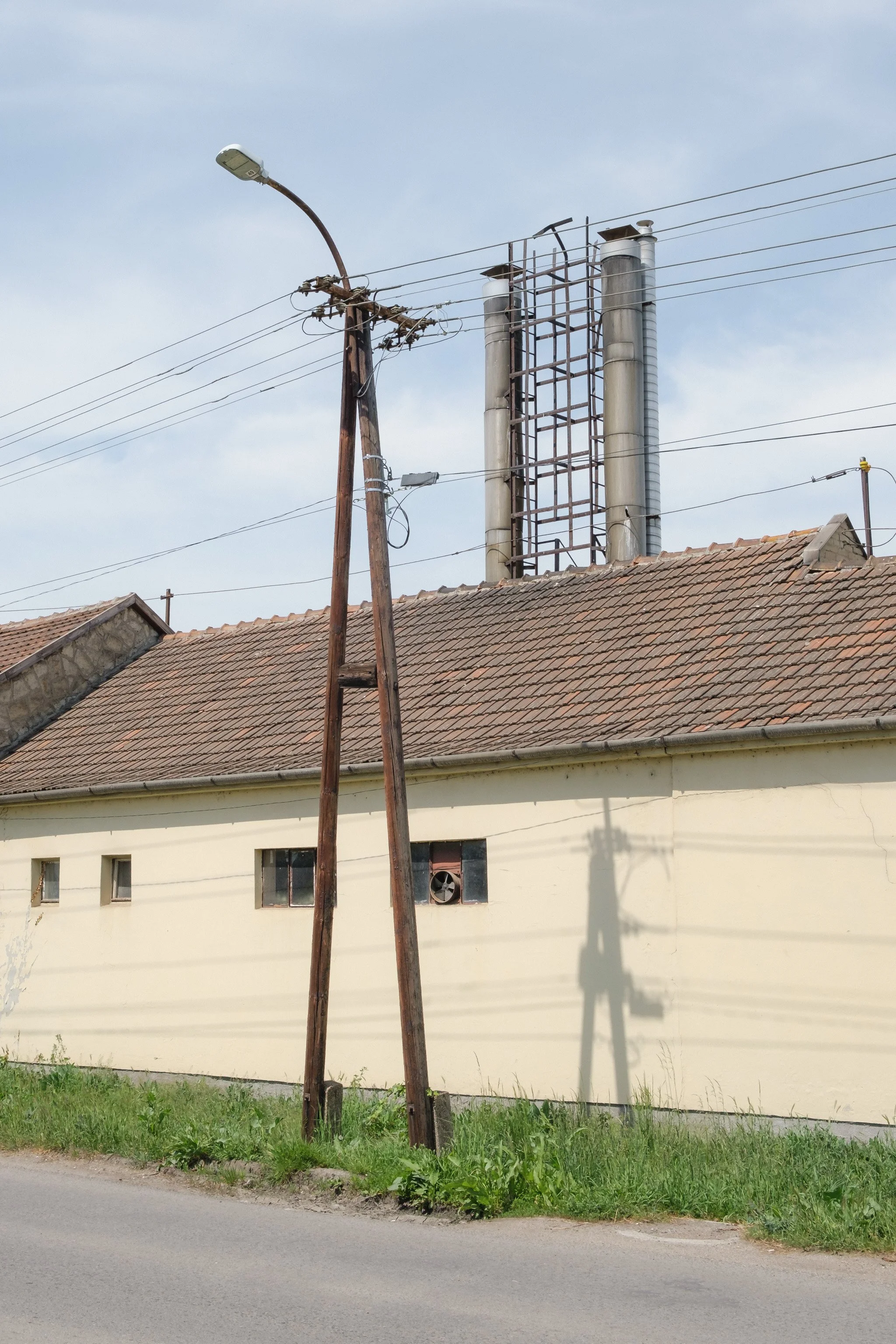 Brindza Mezőkövesd-27.jpg