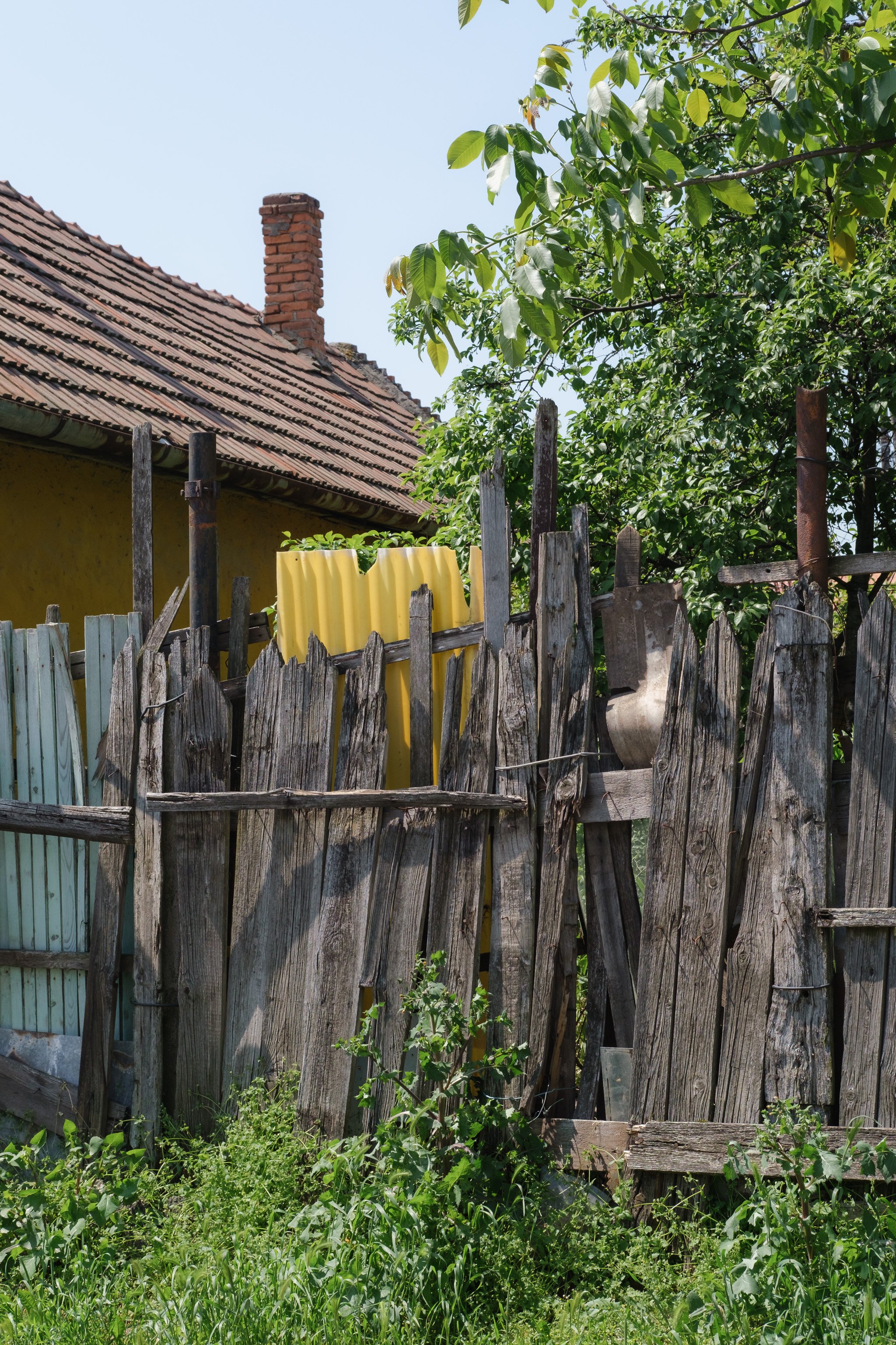 Brindza Mezőkövesd-25.jpg