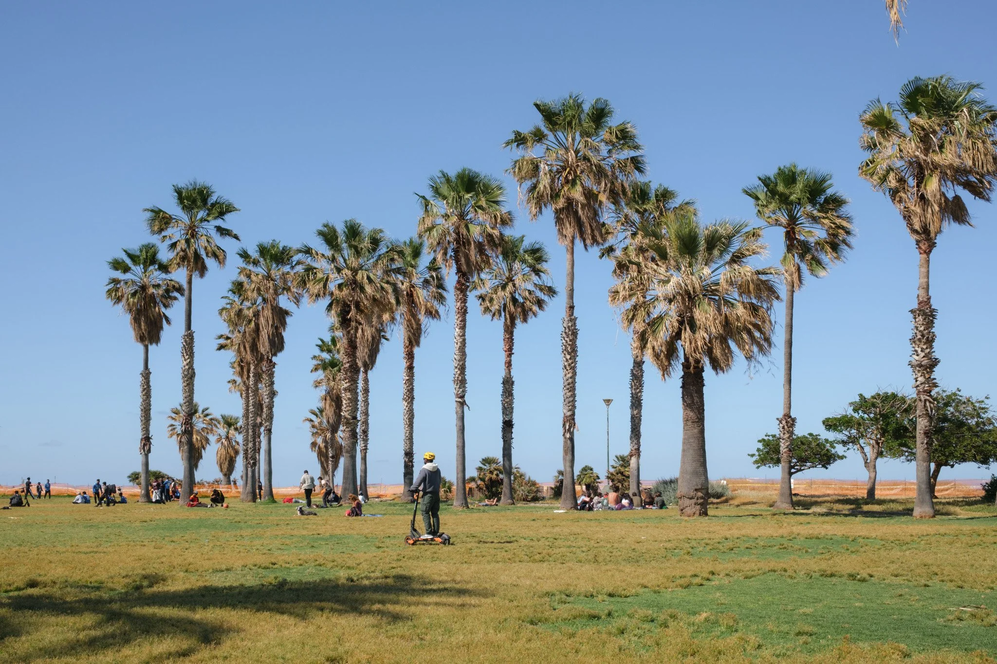 Palermo Brindza-45.jpg