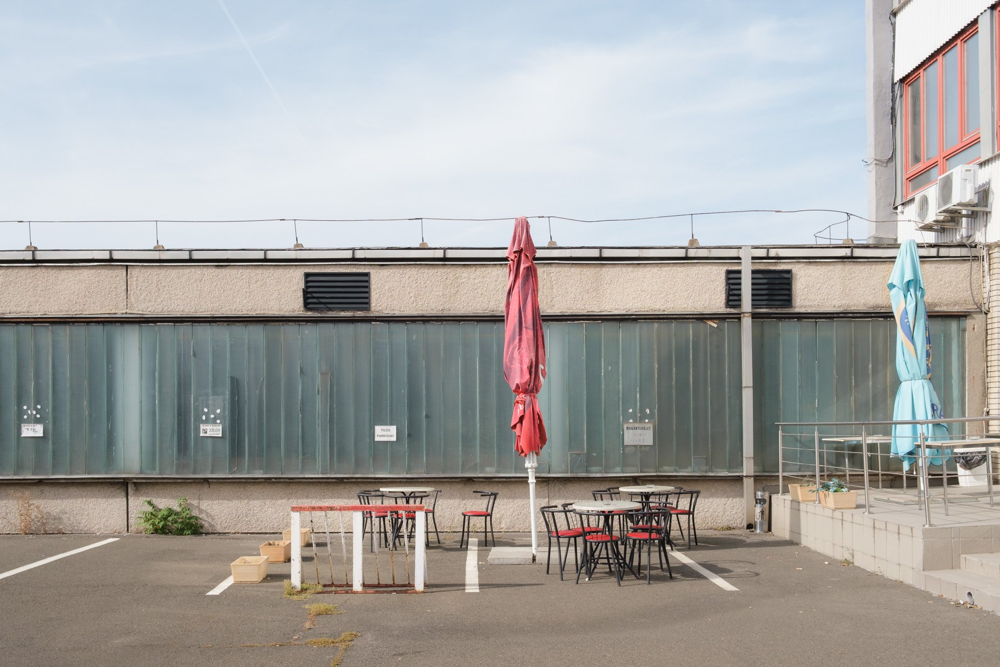 Brindza Zugló-3.jpg