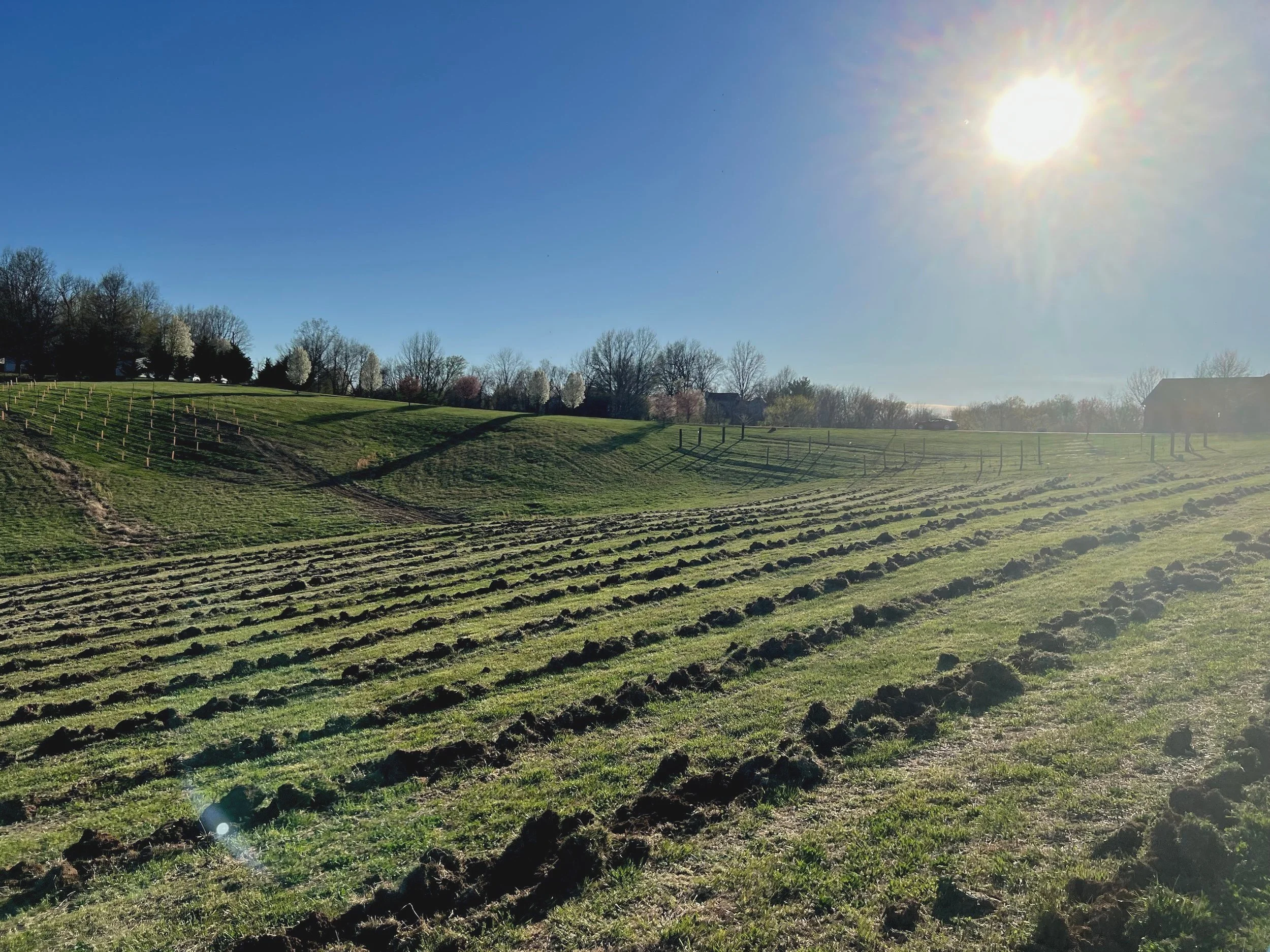 The Kinsey Family Vineyard site in New Hamburg, MO.