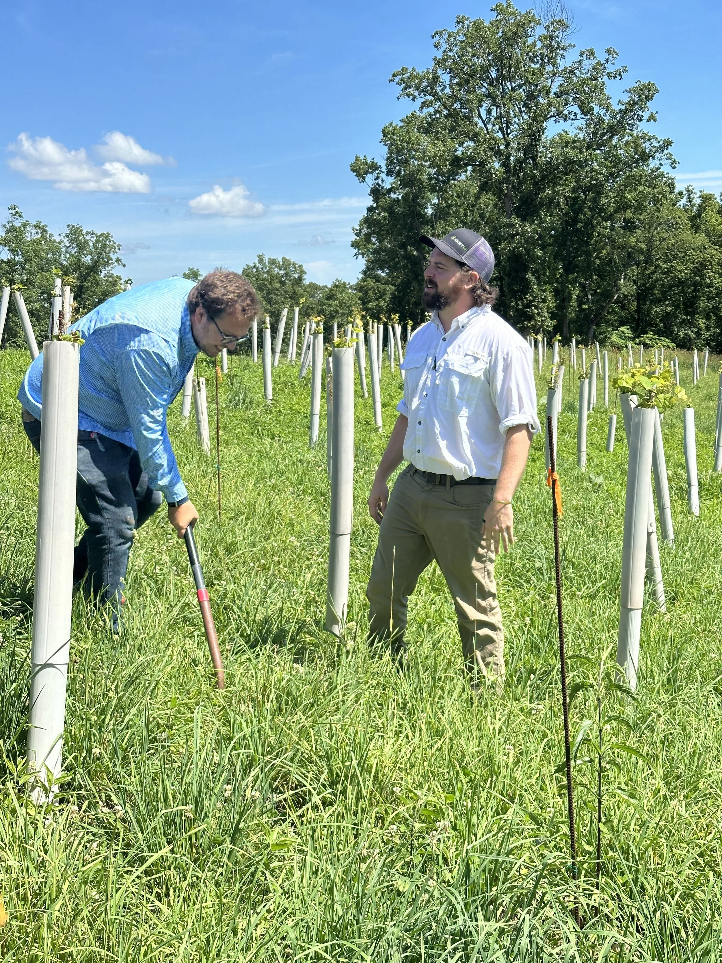 Jed Mathany and Kyle Marret at Mathany Family Vineyards in Lake Ozark, MO for the annual MGGA field day in 2024.