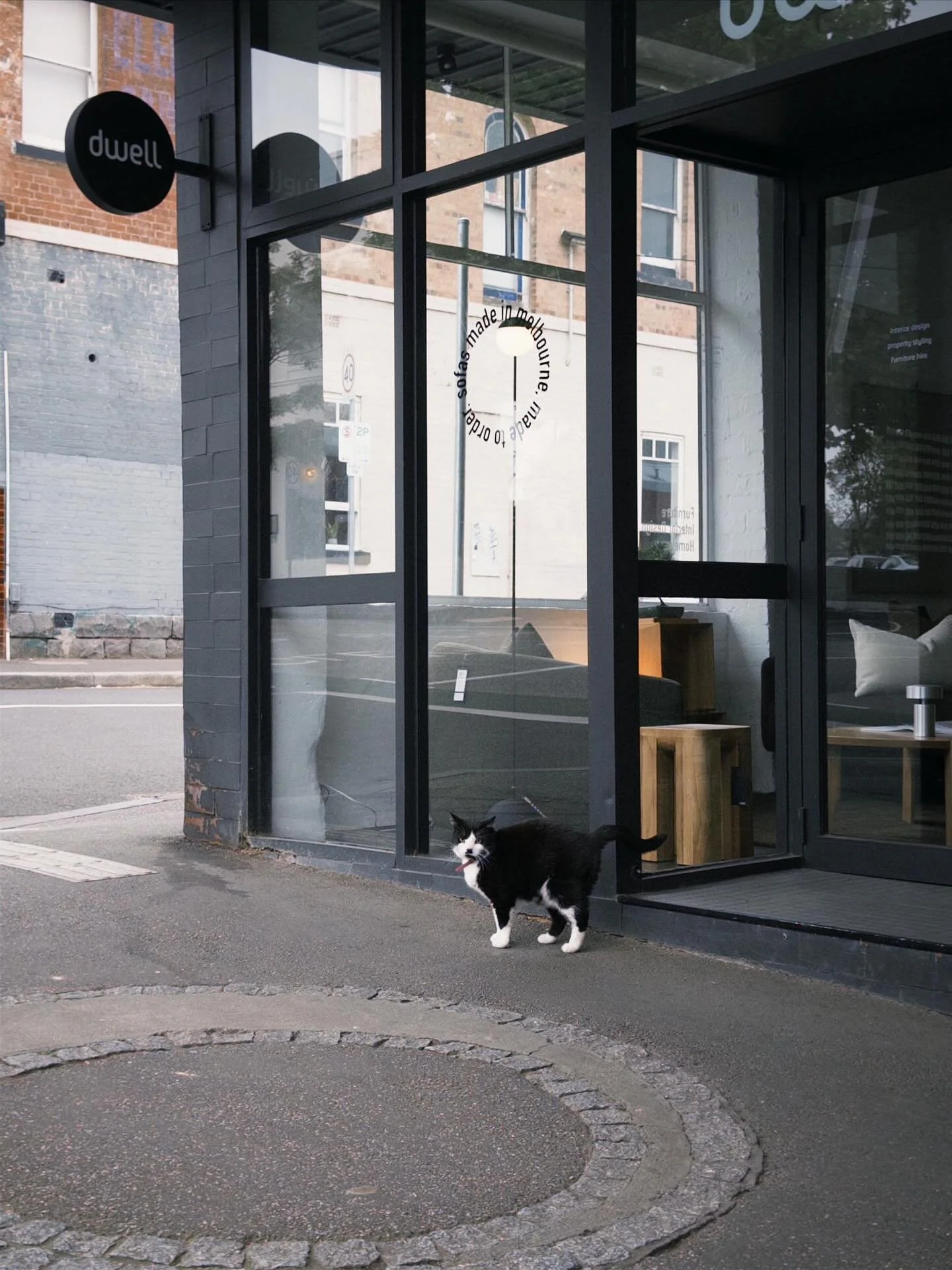 A small visitor choosing our storefront as today&rsquo;s resting place 🐈&zwj;⬛.