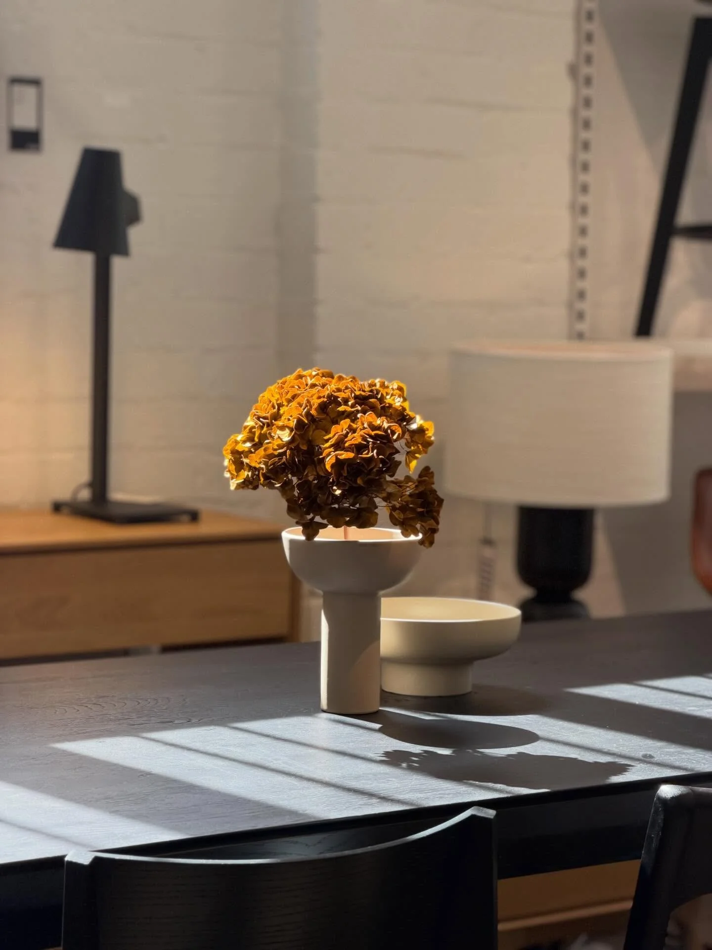 When the light does all the talking ✨