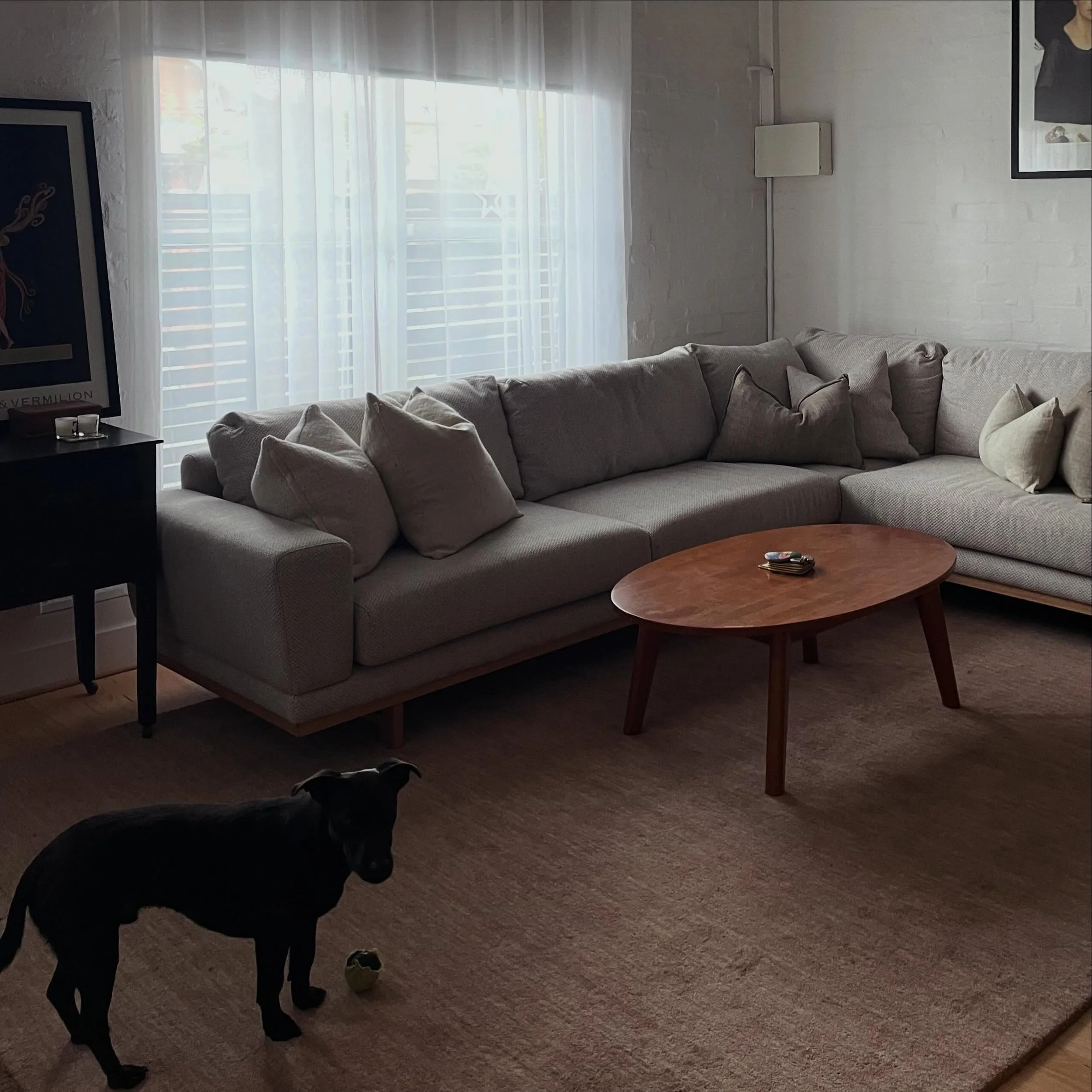 We love seeing pieces settle naturally into a home. This modular sofa found its place effortlessly &mdash; and judging by the dog&rsquo;s reaction, it already has a seal of approval.