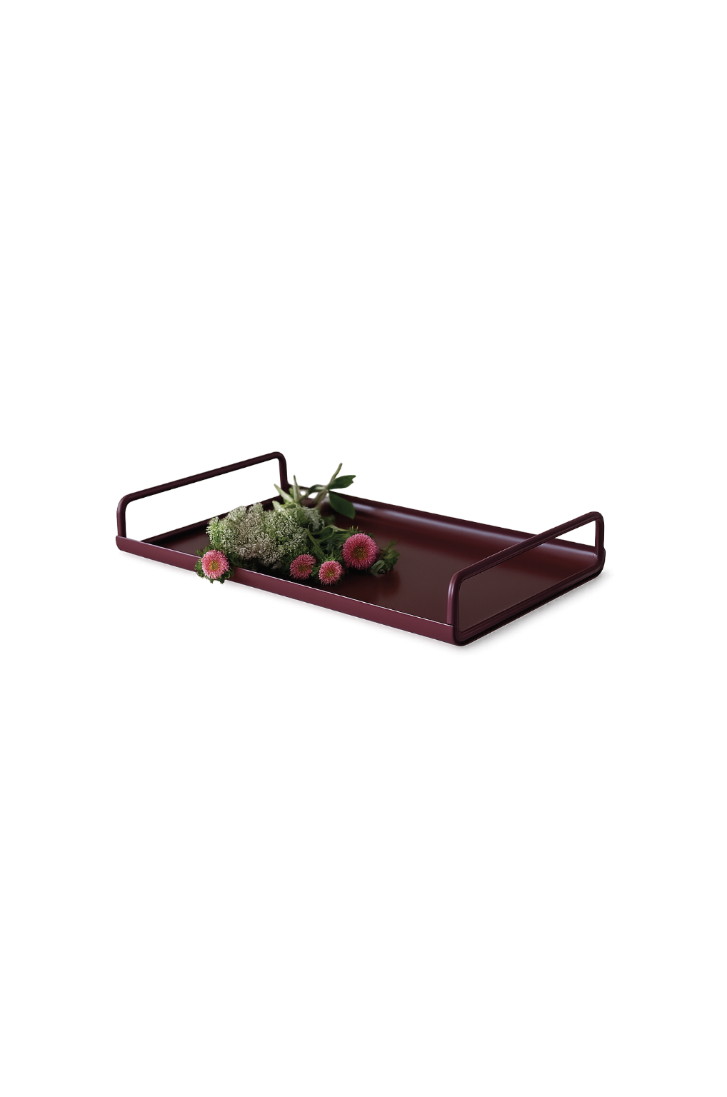 All Day Tray