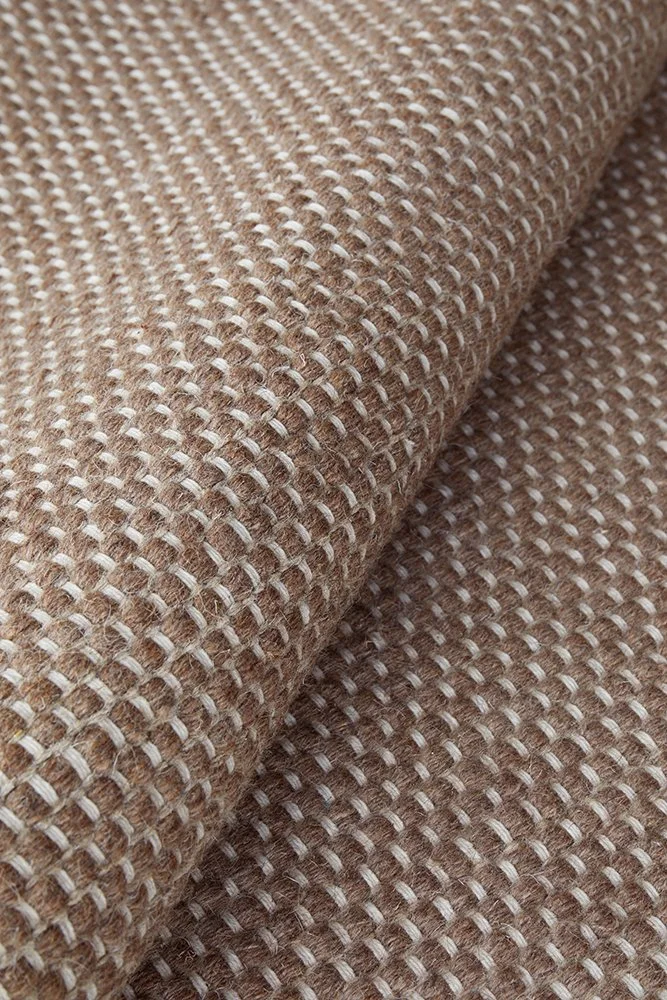 SNG-BARK-WAL_5.jpg